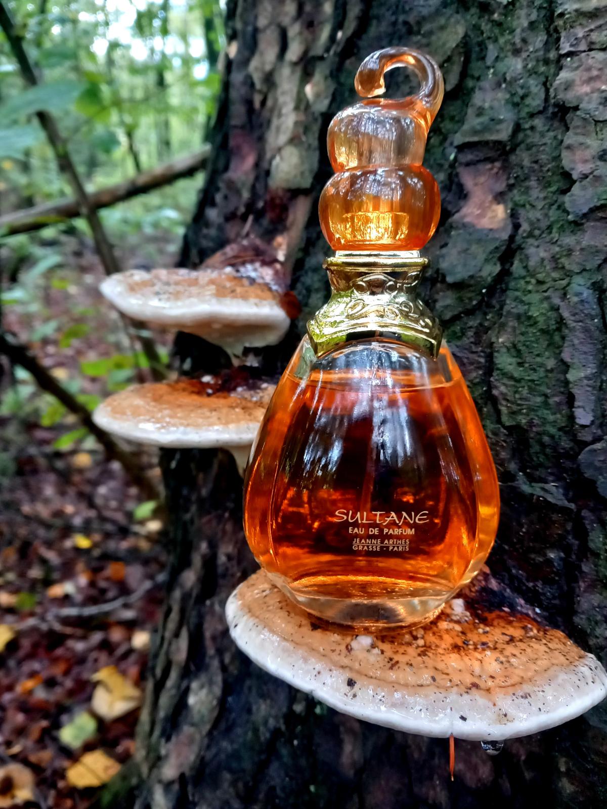 عطر ادکلن سلطان ژان آرته‌س - Sultane Jeanne Arthes - بررسی، قیمت و خرید