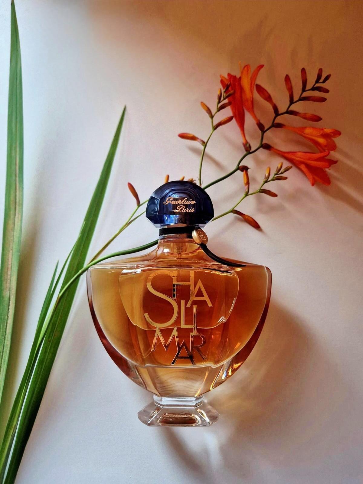 عطر ادکلن شالیمار ال اسنس گرلن - Shalimar L'Essence Guerlain - بررسی، قیمت و خرید