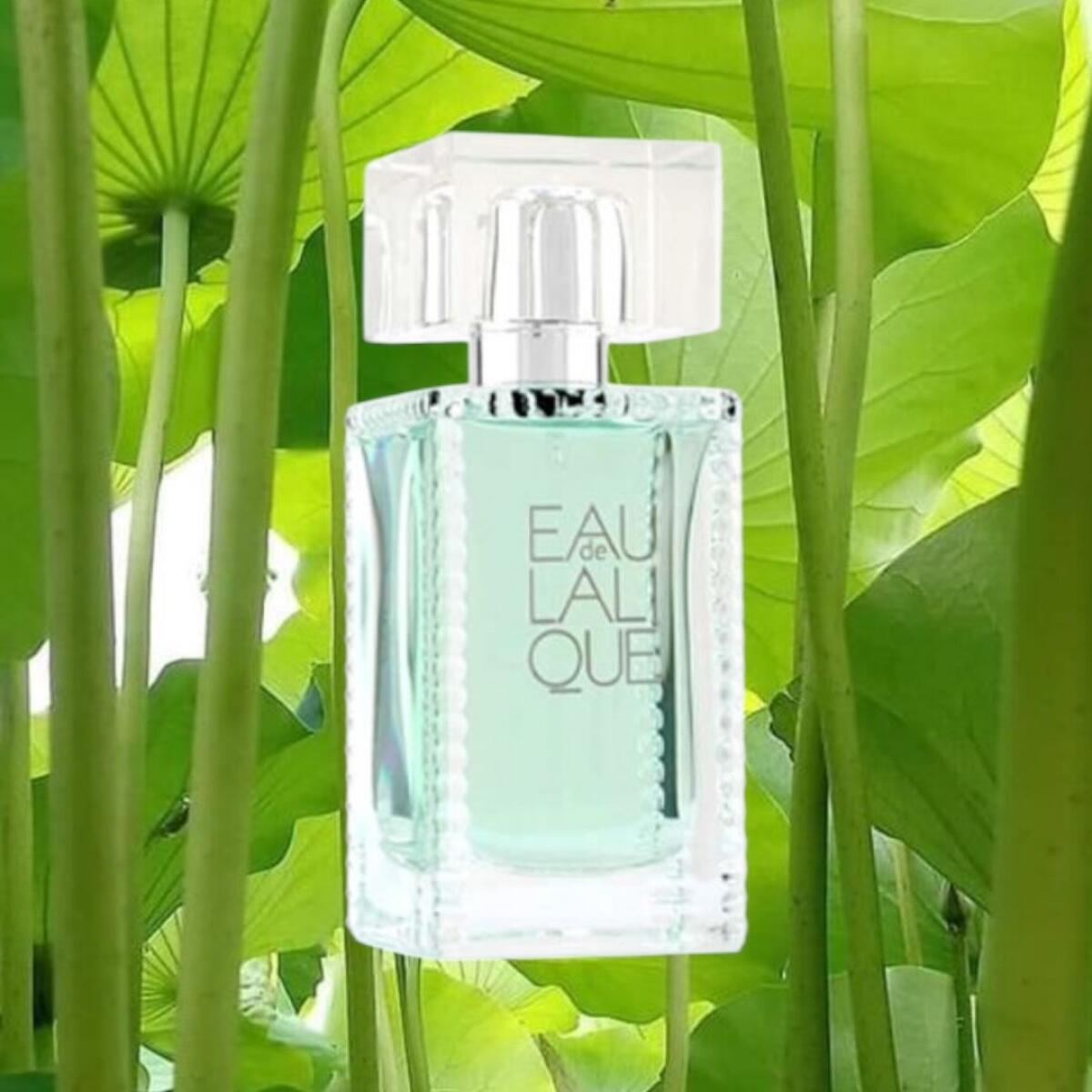 عطر ادکلن او دو للیک لالیک - Eau de Lalique Lalique - بررسی، قیمت و خرید