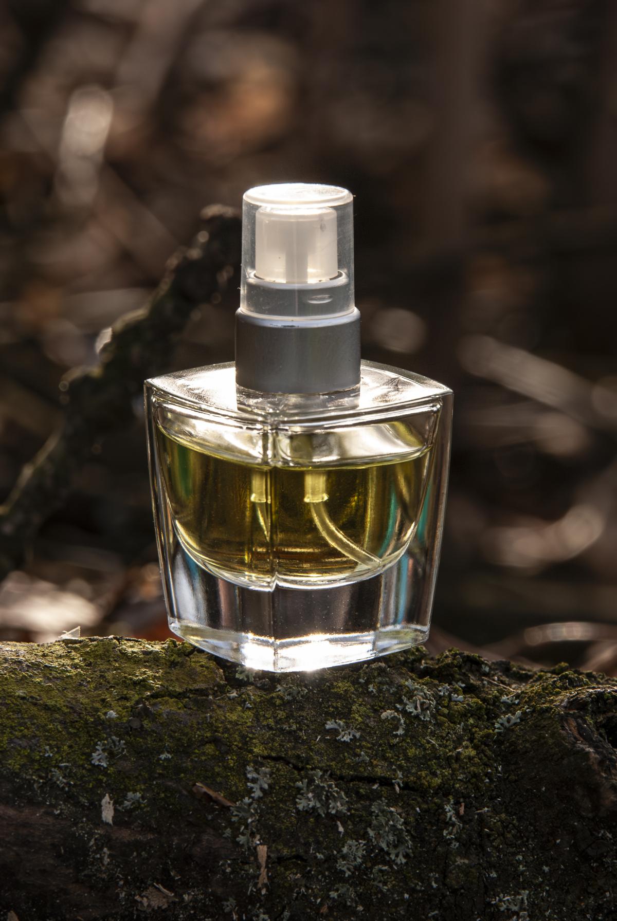 عطر ادکلن مانیفستو ایزابلا روسلینی - Manifesto Isabella Rossellini - بررسی، قیمت و خرید