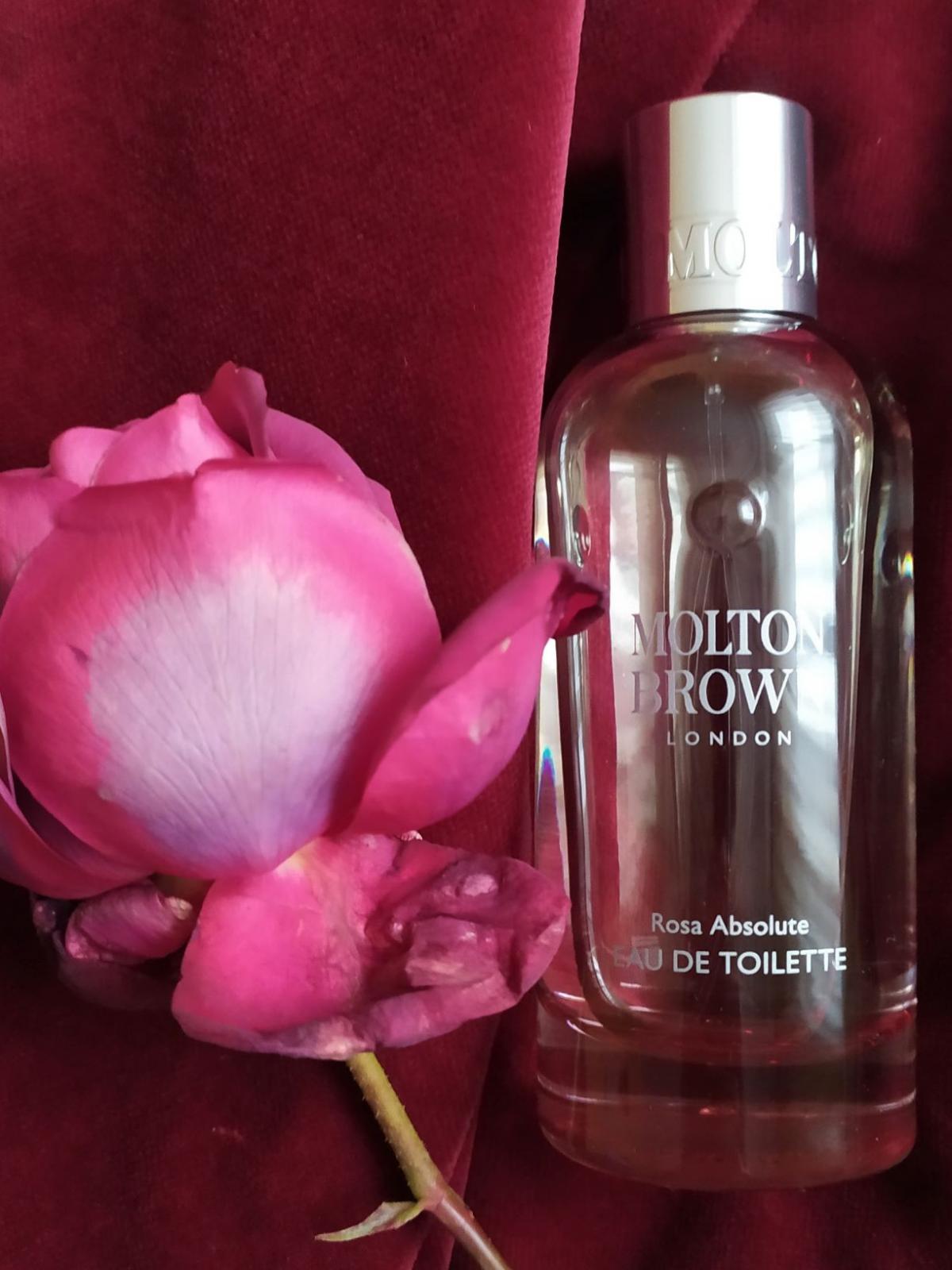 عطر ادکلن رزا ابسولوت مالتون براون - Rosa Absolute Molton Brown - بررسی، قیمت و خرید