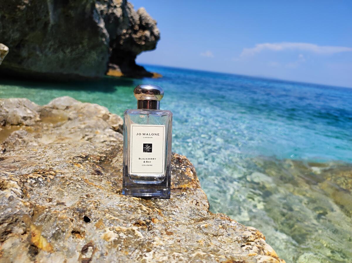 عطر ادکلن بلکبری اند بِی جو مالون لندن - Blackberry & Bay Jo Malone London - بررسی، قیمت و خرید