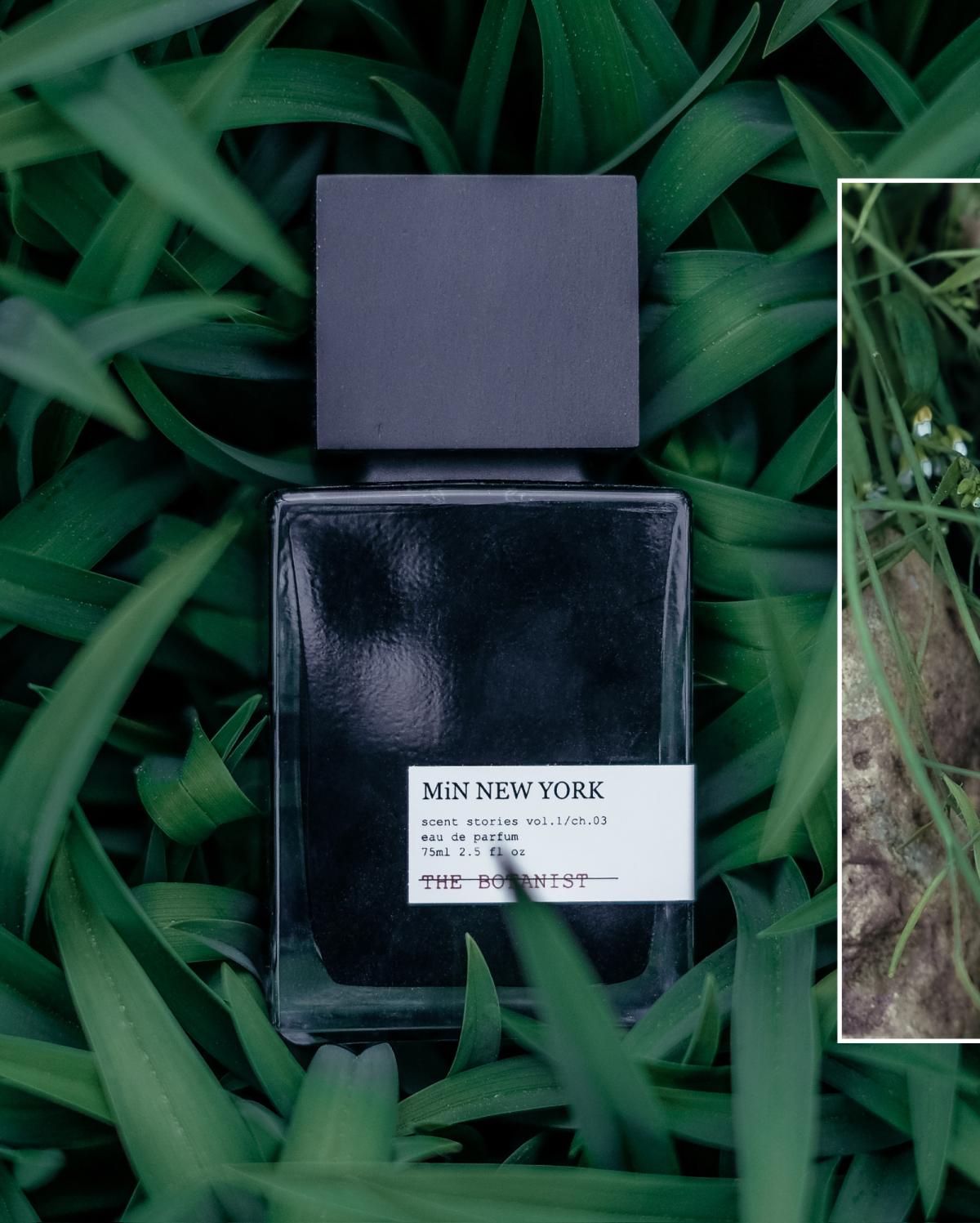 عطر ادکلن دِ بوتانیست مین نیویورک - THE BOTANIST MiN NEW YORK - بررسی، قیمت و خرید