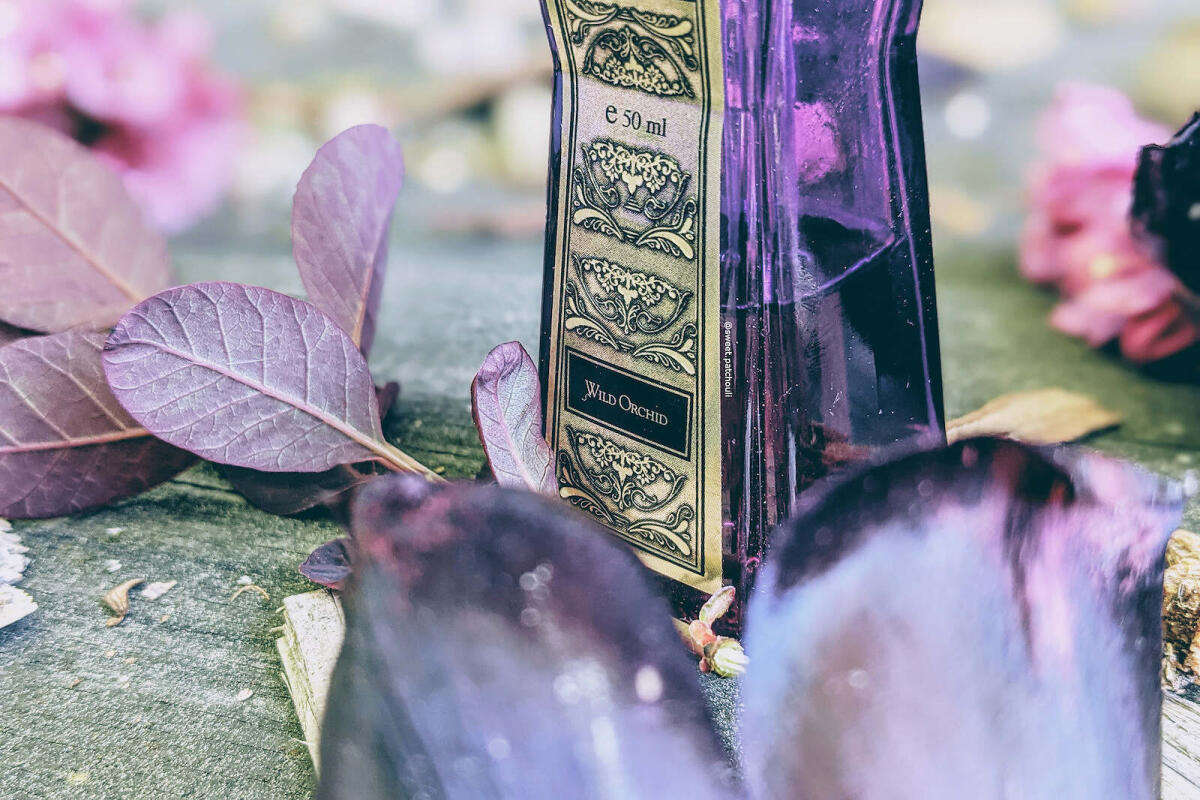 عطر ادکلن وایلد ارکید جاست جک - Wild Orchid Just Jack - بررسی، قیمت و خرید