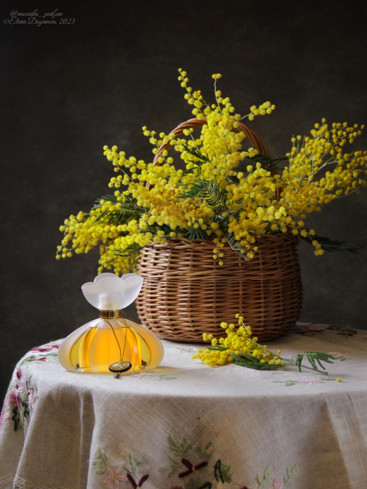 عطر ادکلن پرفیوم دور کریستال سنت مارتین - Parfum D'Or Kristel Saint Martin - بررسی، قیمت و خرید