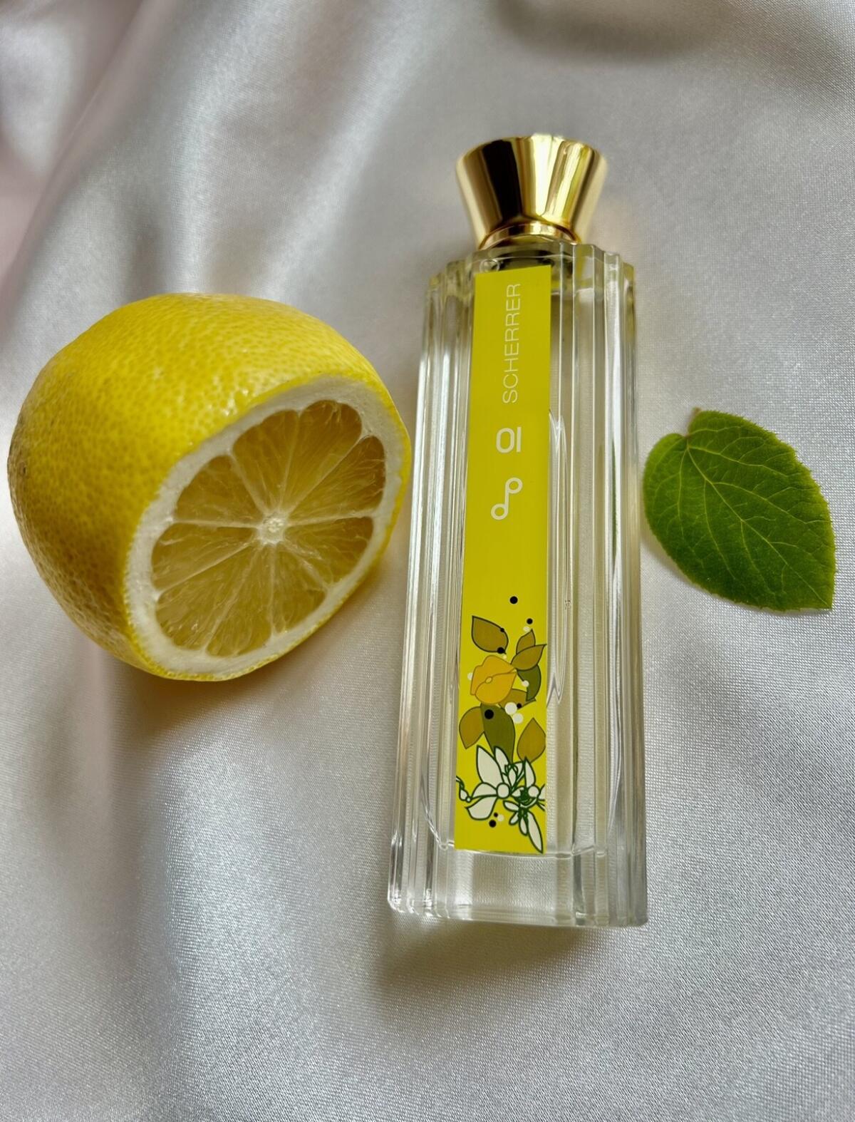 عطر ادکلن پاپ دلايتز صفر یک ژان لوئی شرر - Pop Delights 01 Jean-Louis Scherrer - بررسی، قیمت و خرید
