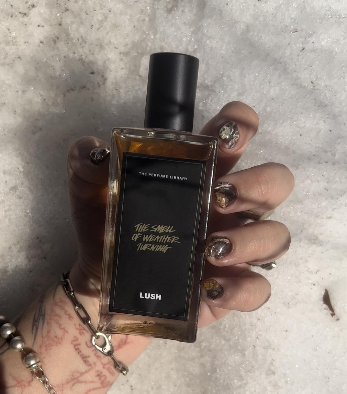 عطر ادکلن د سمل آو ودر ترنینگ لاش - The Smell of Weather Turning Lush - بررسی، قیمت و خرید