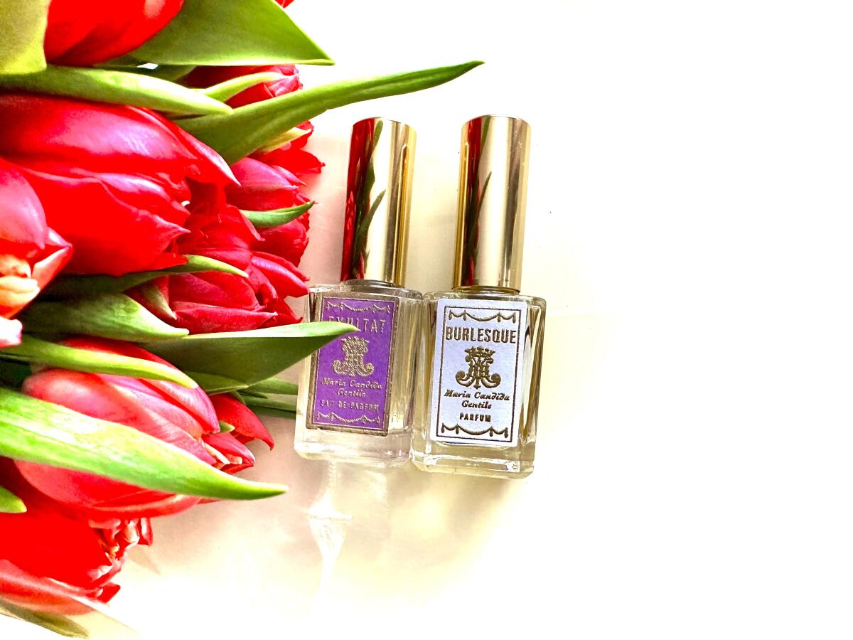 عطر ادکلن برلسک ماریا کندیدا جنتیله - Burlesque Maria Candida Gentile - بررسی، قیمت و خرید