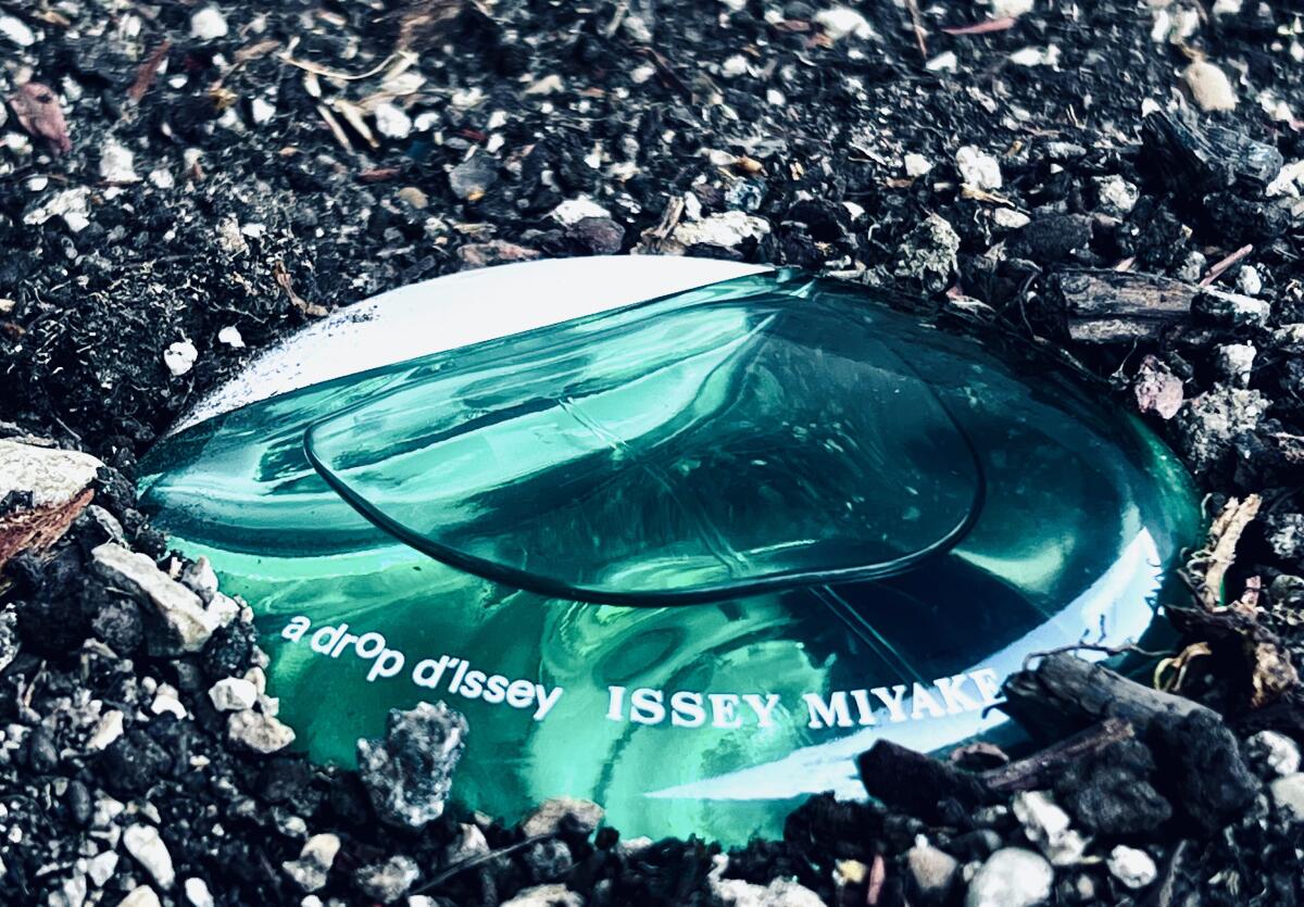 عطر ادکلن آ دپ دیزی اسنسیل ایسی میاکه - A Drop d'Issey Essentielle Issey Miyake - بررسی، قیمت و خرید