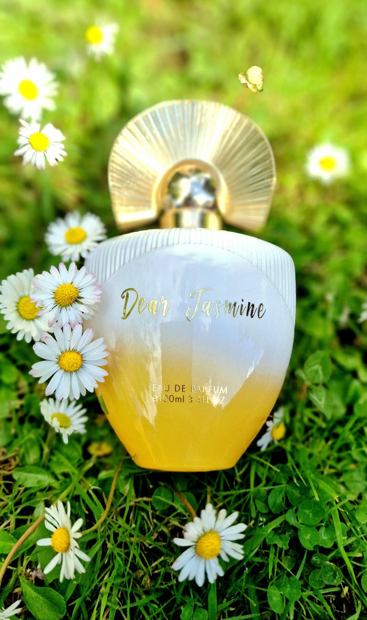 عطر ادکلن دیر جاسمین میزون اسرار - Dear Jasmine MAISON ASRAR - بررسی، قیمت و خرید