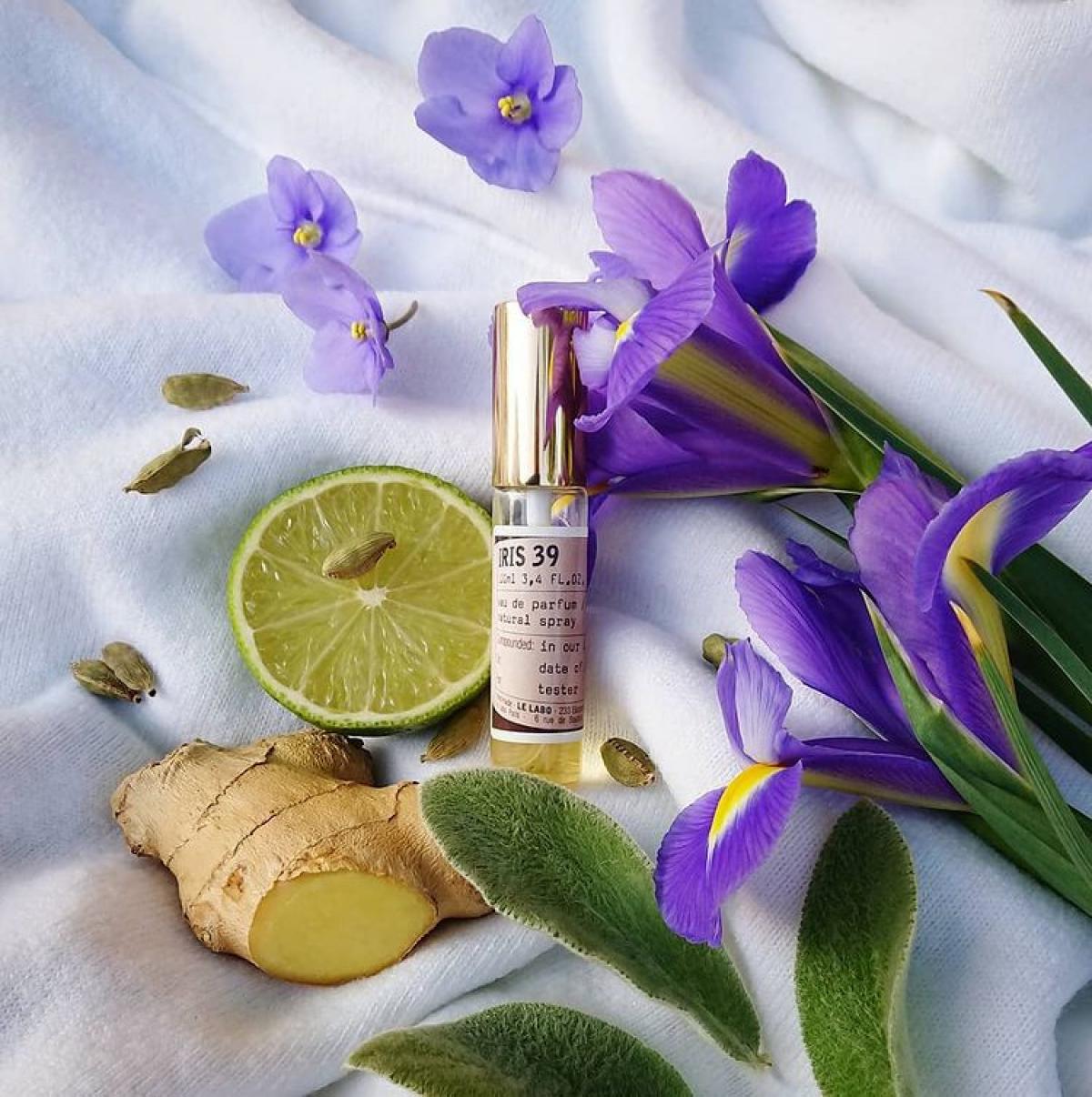 عطر ادکلن آیریس ۳۹ له لابو - Iris 39 Le Labo - بررسی، قیمت و خرید