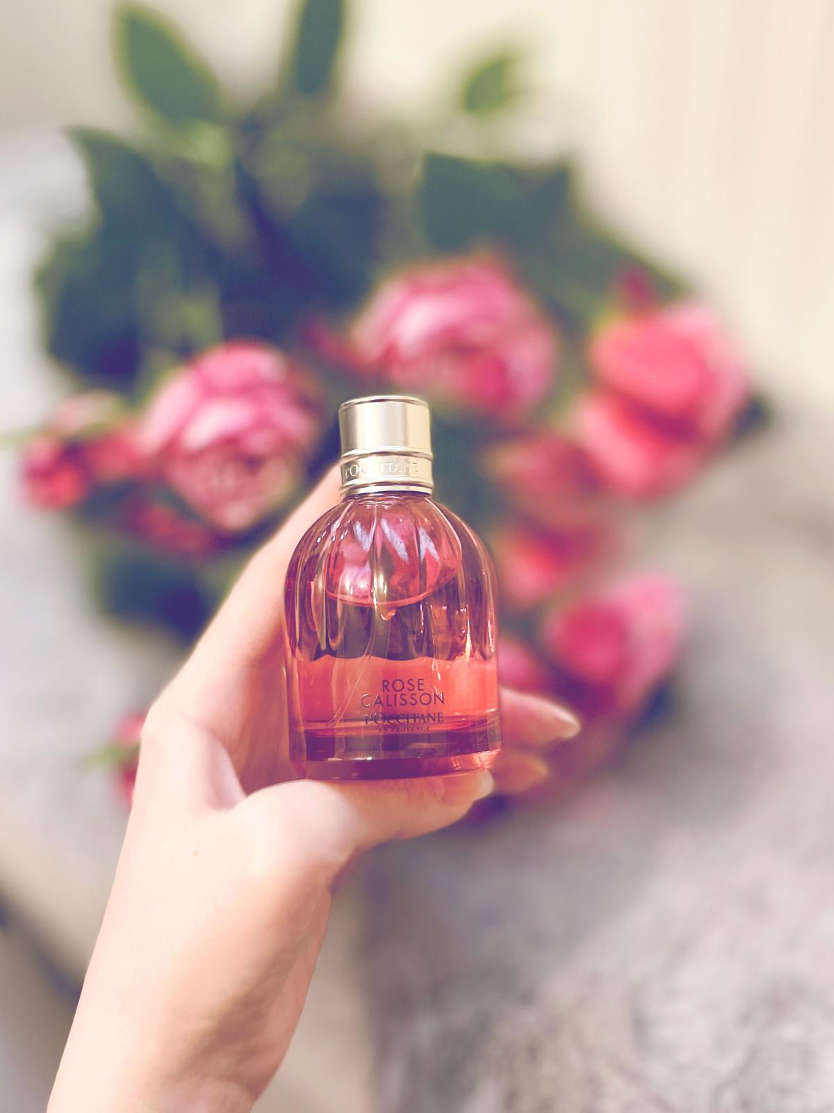 عطر ادکلن رز کالیسون لوکستان - Rose Calisson L'Occitane en Provence - بررسی، قیمت و خرید