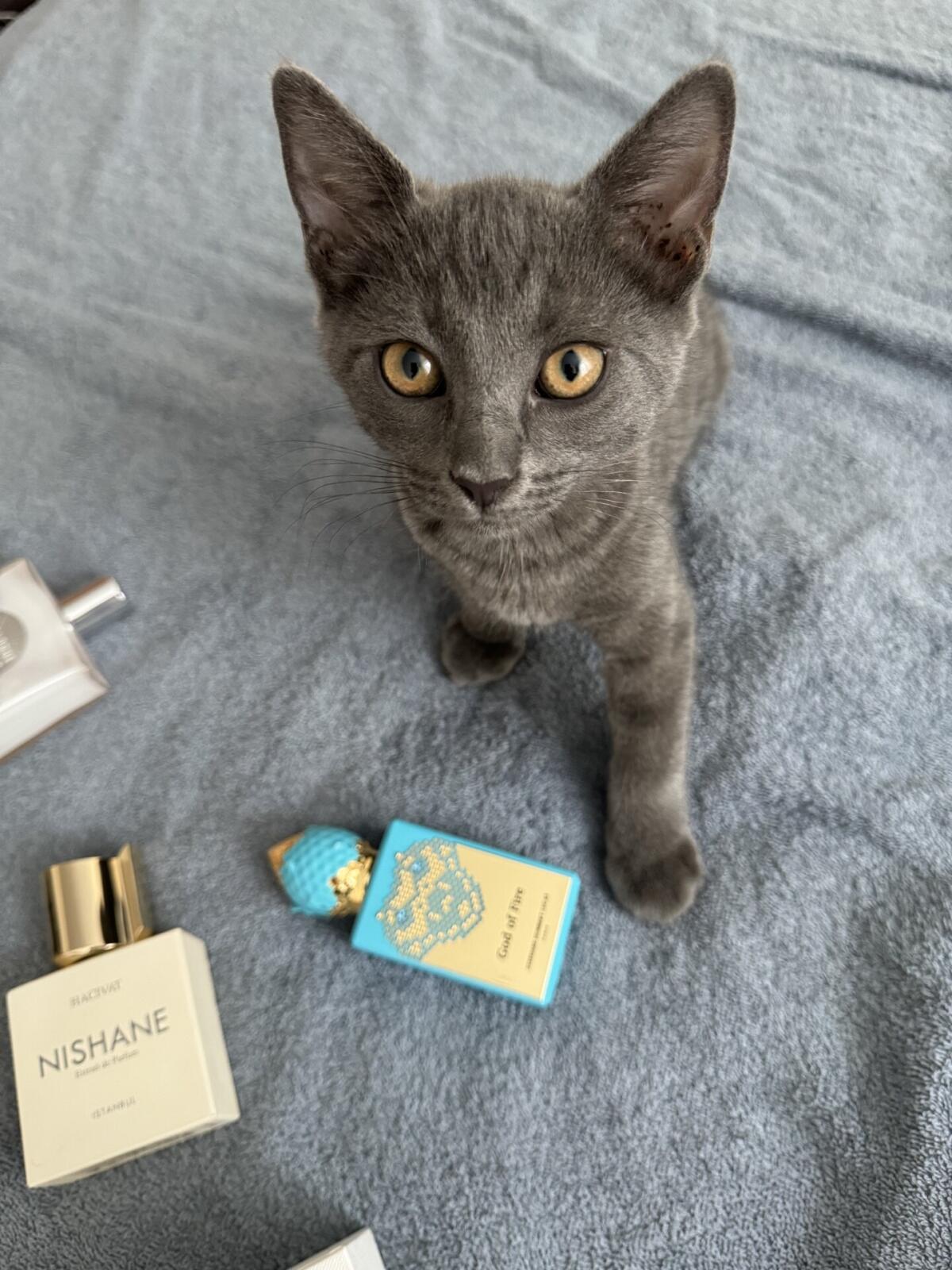 عطر ادکلن گاد آو فایر استفان هامبرت لوکاس ۷۷۷ - God of Fire Stéphane Humbert Lucas 777 - بررسی، قیمت و خرید