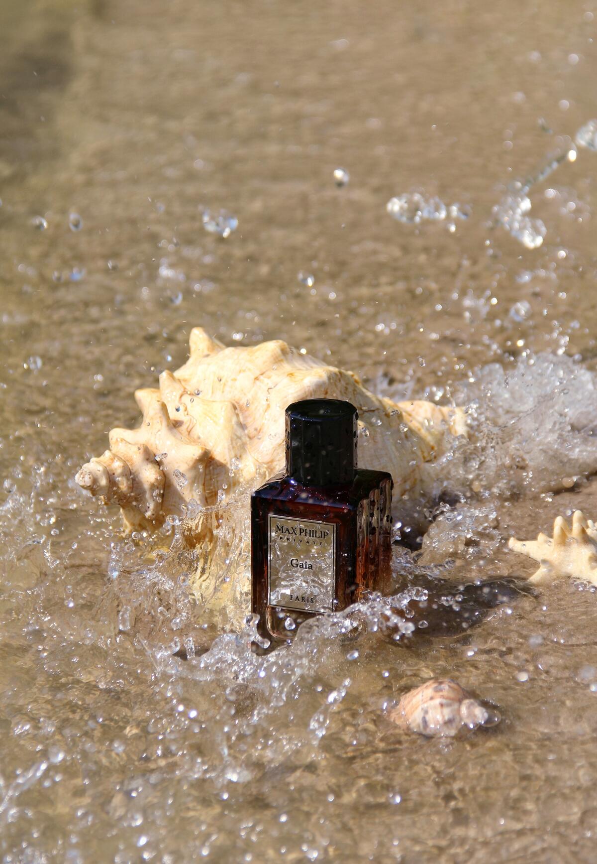 عطر ادکلن گایا مکس فیلیپ - Gaia Max Philip - بررسی، قیمت و خرید