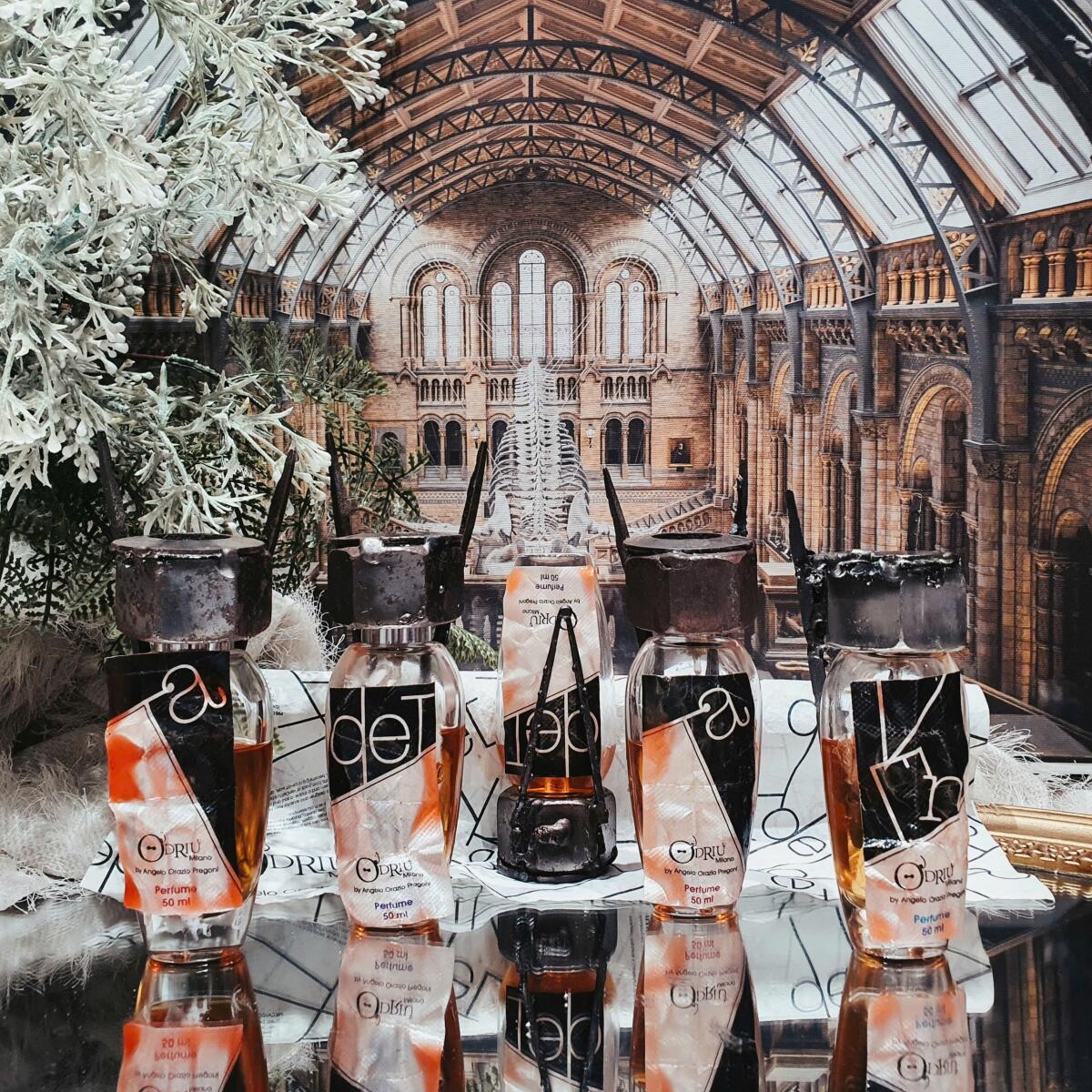 عطر ادکلن ون اودریو - Ven O'Driu - بررسی، قیمت و خرید