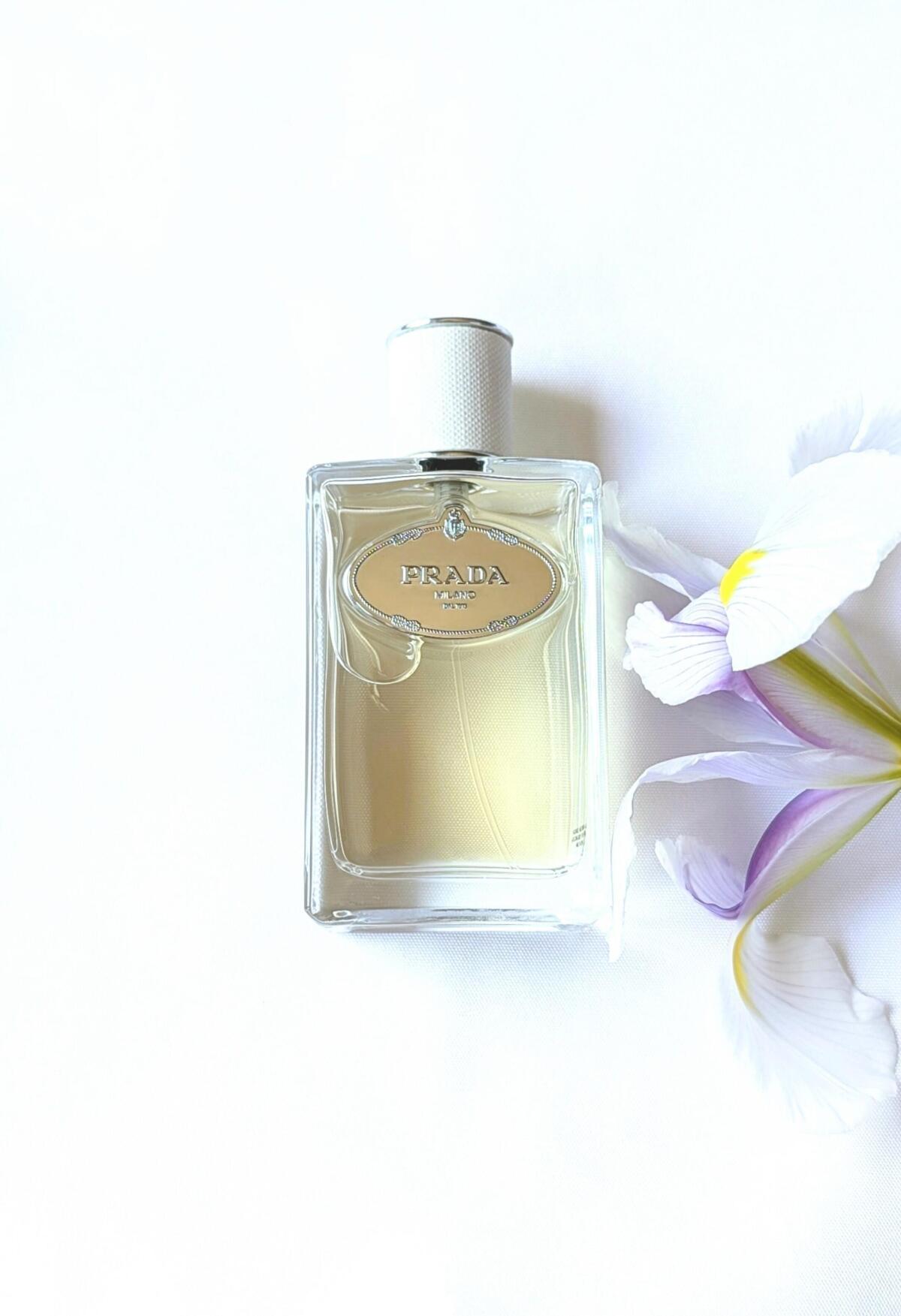 عطر ادکلن اینفیوژن د اوم پرادا - Infusion d'Homme Prada - بررسی، قیمت و خرید