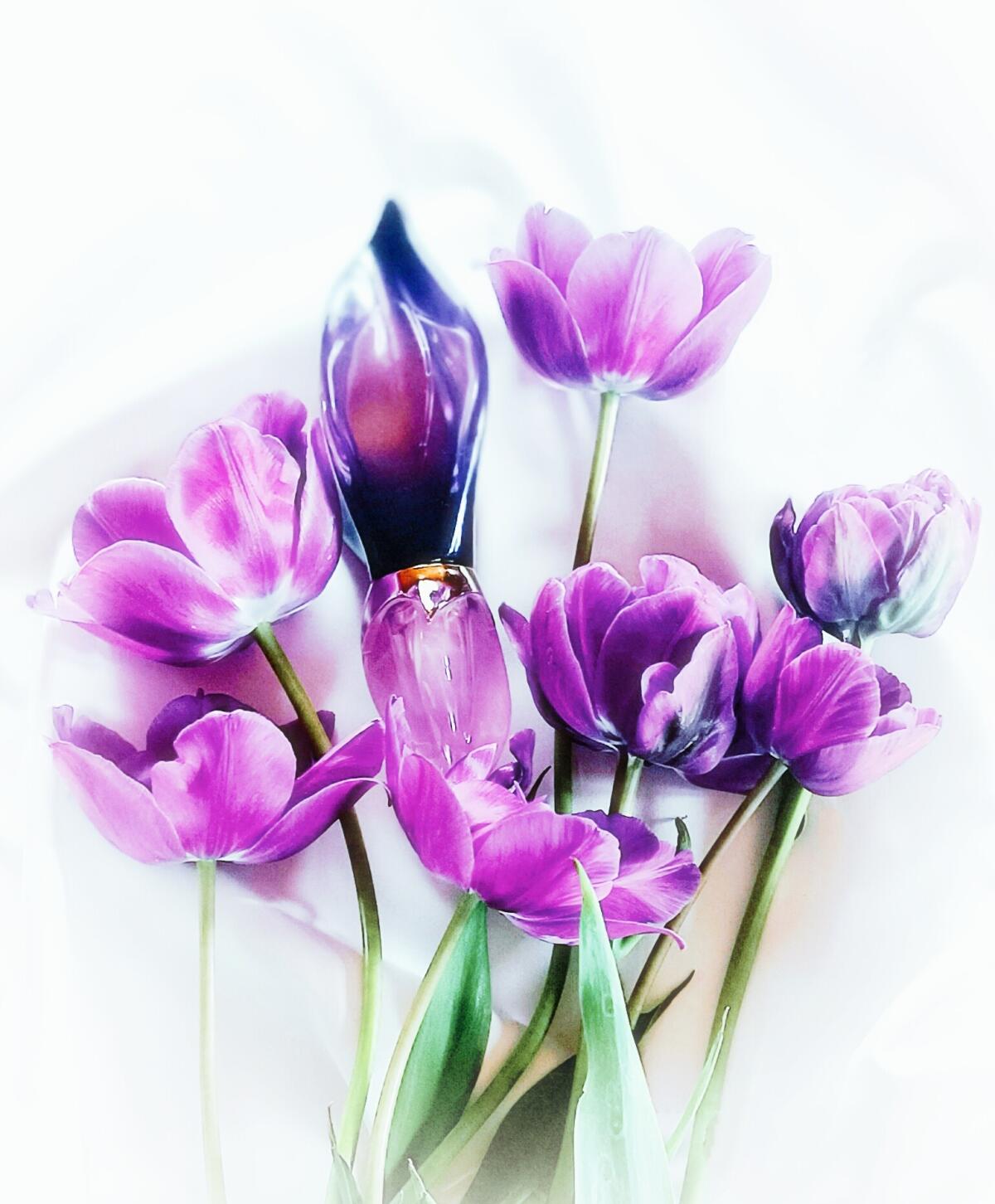 عطر ادکلن لوکوم کیکو ماچری - Loukhoum Keiko Mecheri - بررسی، قیمت و خرید