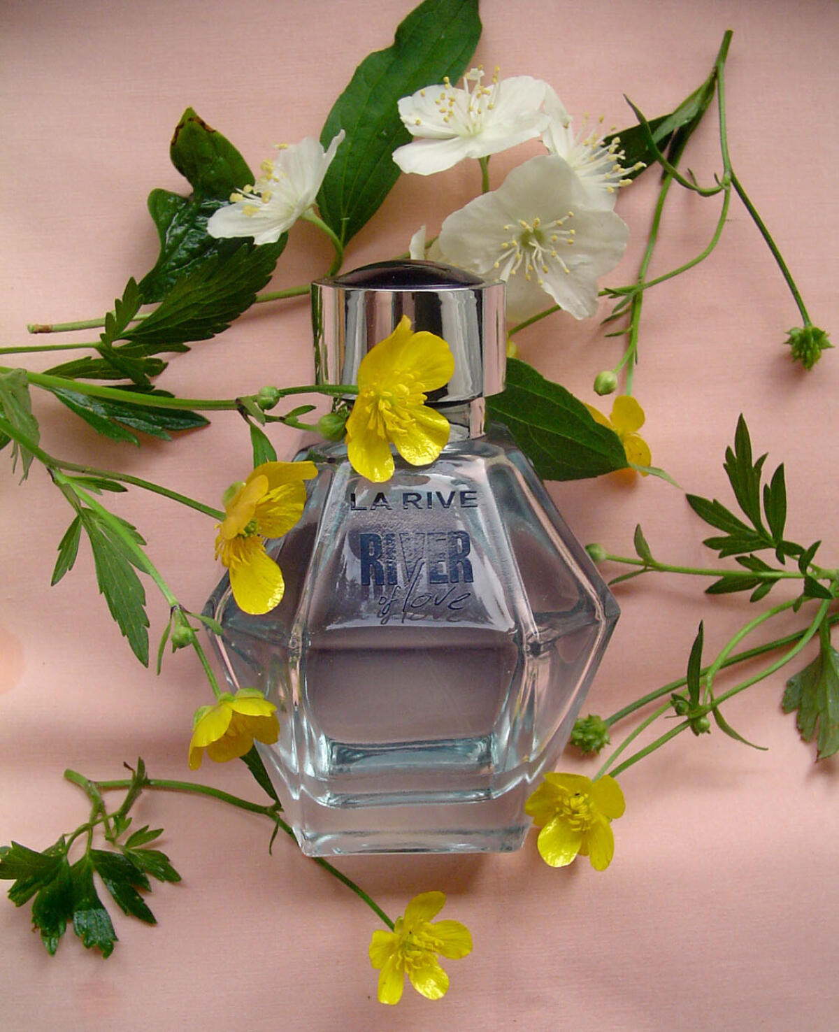 عطر ادکلن ریور آو لاو لاریو - River of Love La Rive - بررسی، قیمت و خرید