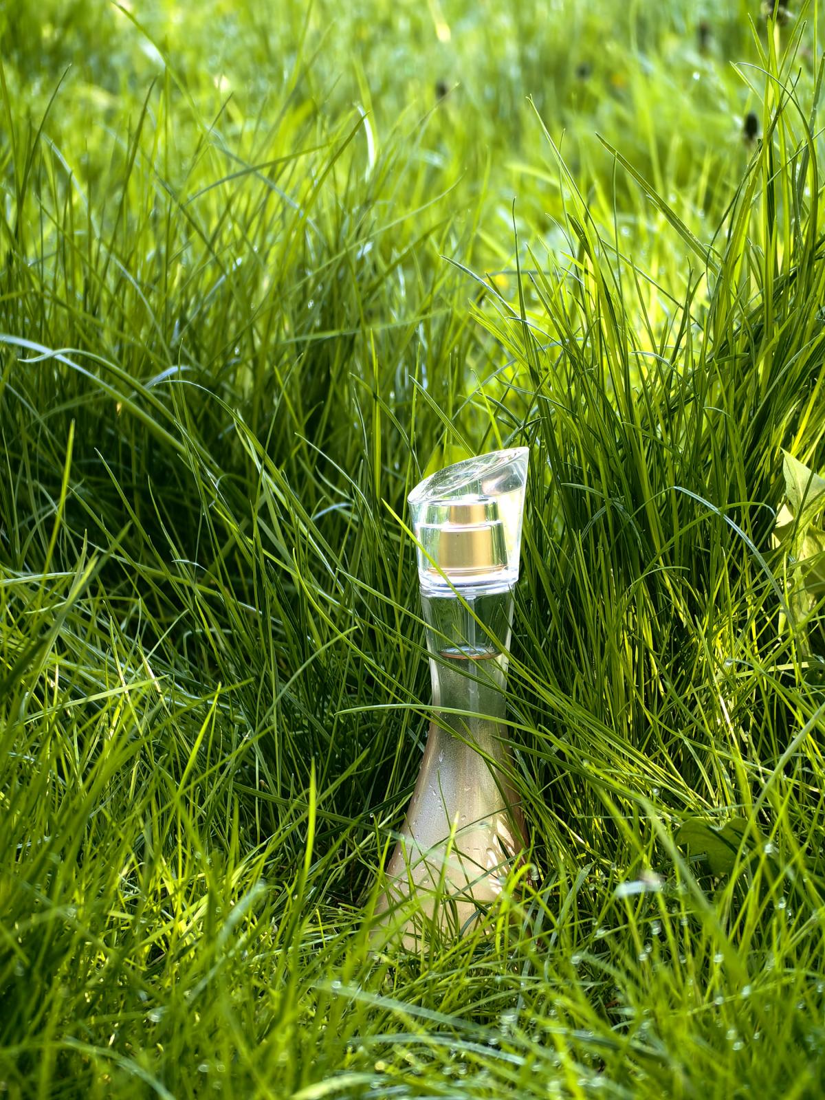 عطر ادکلن ژو دَموغ کنزو - Jeu d'Amour Kenzo - بررسی، قیمت و خرید