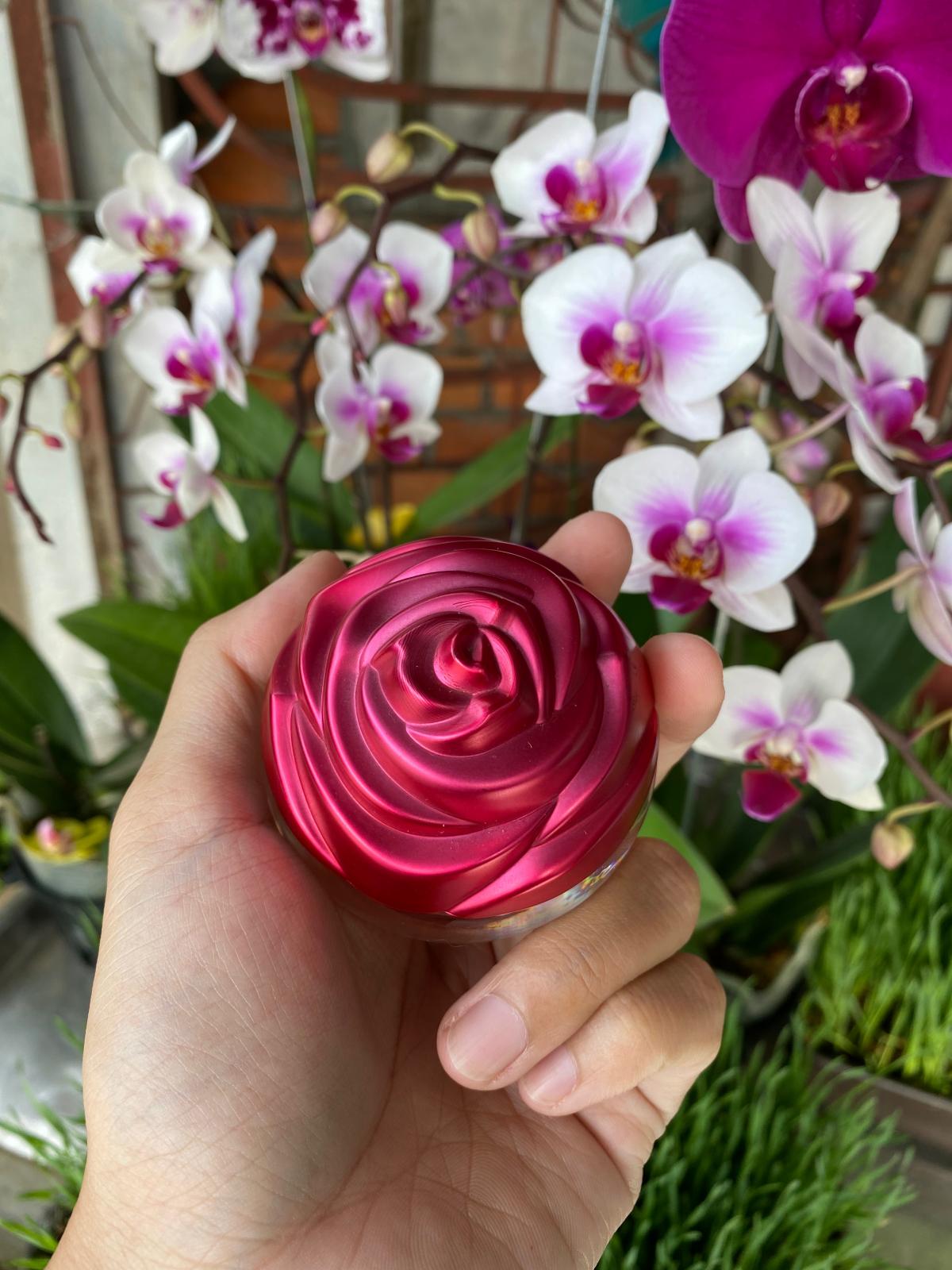 عطر ادکلن دلیکسی اوریفلیم - Delicacy Oriflame - بررسی، قیمت و خرید