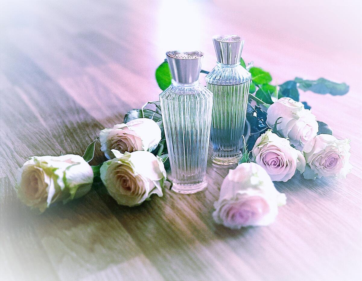 عطر ادکلن آشوکا نیلا ورمیر کریشنز - Ashoka Neela Vermeire Creations - بررسی، قیمت و خرید