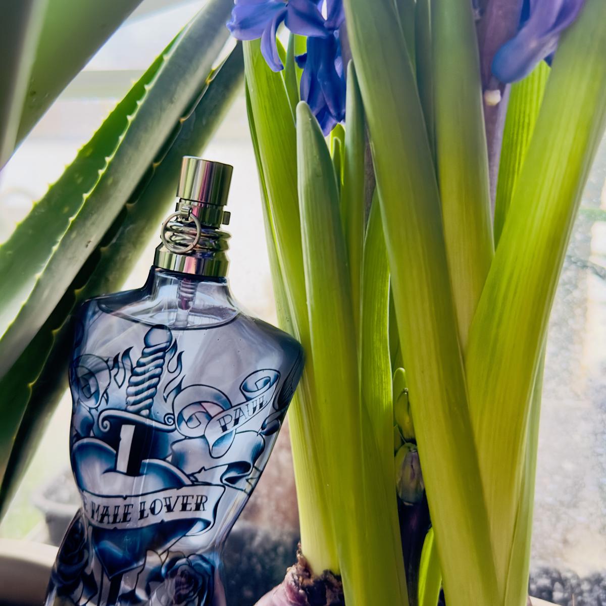 عطر ادکلن ل مل لاور ژان پل گوتیه - Le Male Lover Jean Paul Gaultier - بررسی، قیمت و خرید