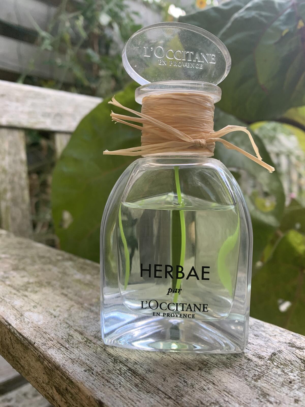 عطر ادکلن هربا لوکسیتان - Herbae L'Occitane en Provence - بررسی، قیمت و خرید
