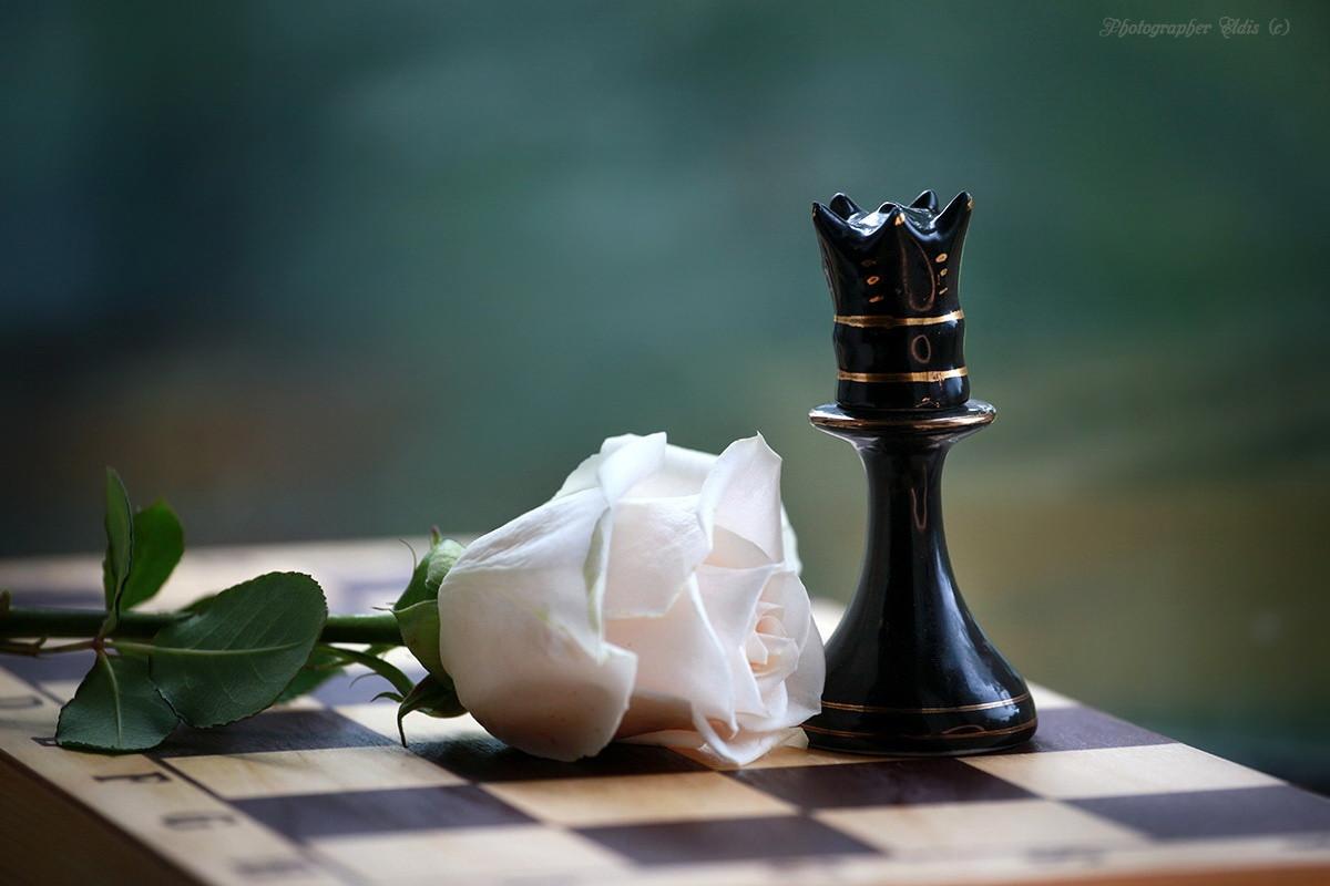 عطر ادکلن ایبریا - Nona - Нона Iberia - Иверия - بررسی، قیمت و خرید