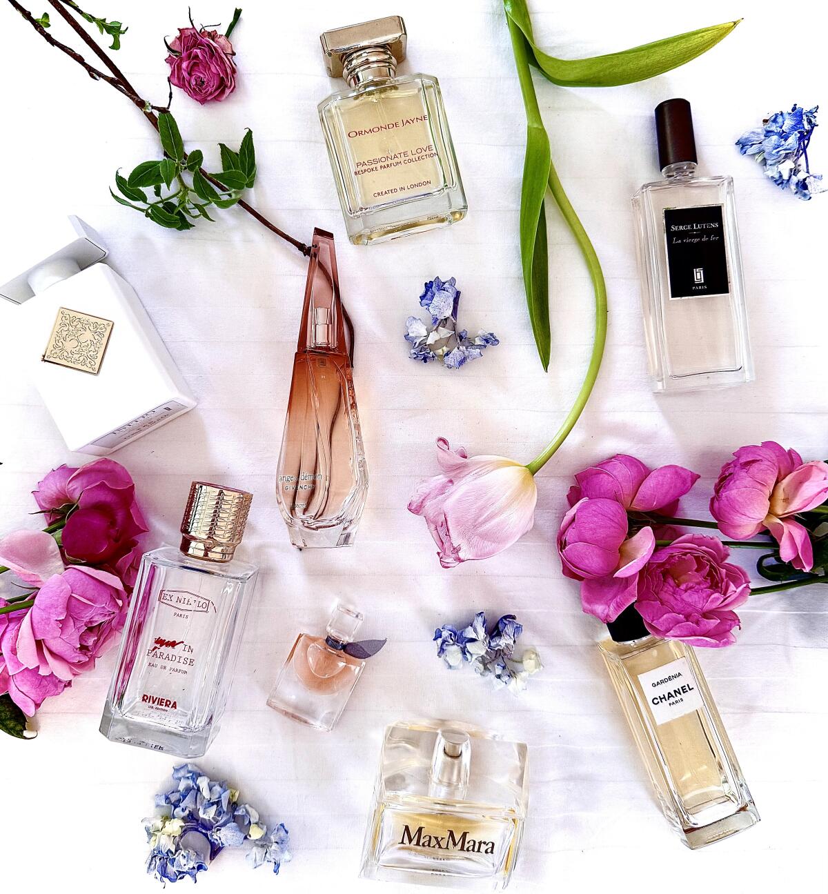 عطر ادکلن پشن لاو اورموند جین - Passionate Love Ormonde Jayne - بررسی، قیمت و خرید