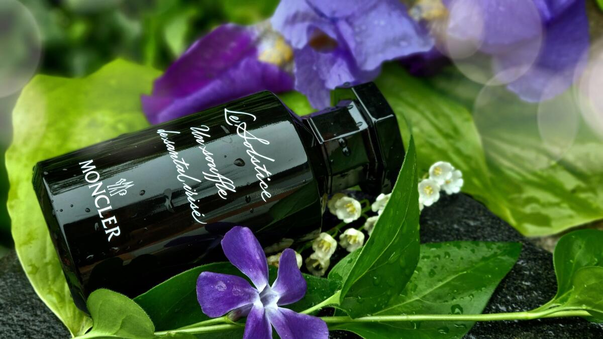 عطر ادکلن لو سولیستس مونکلر - Le Solstice Moncler - بررسی، قیمت و خرید