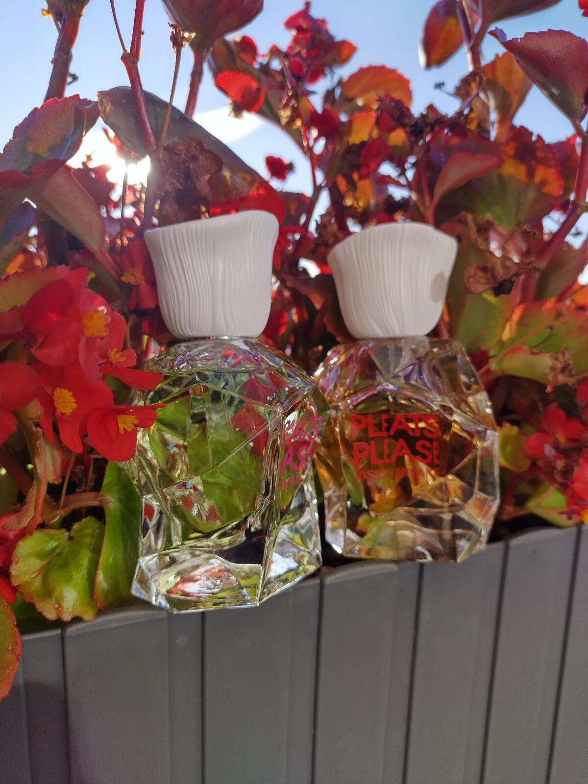 عطر ادکلن پلیس پلیس ایسی میاکه - Pleats Please Issey Miyake - بررسی، قیمت و خرید