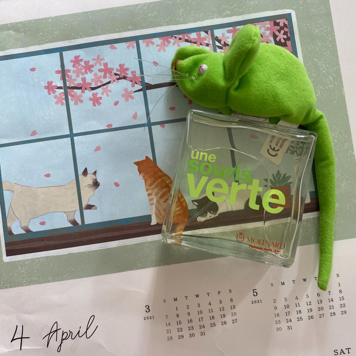 عطر ادکلن اون سورى وِرت مولینارد - Une Souris Verte Molinard - بررسی، قیمت و خرید