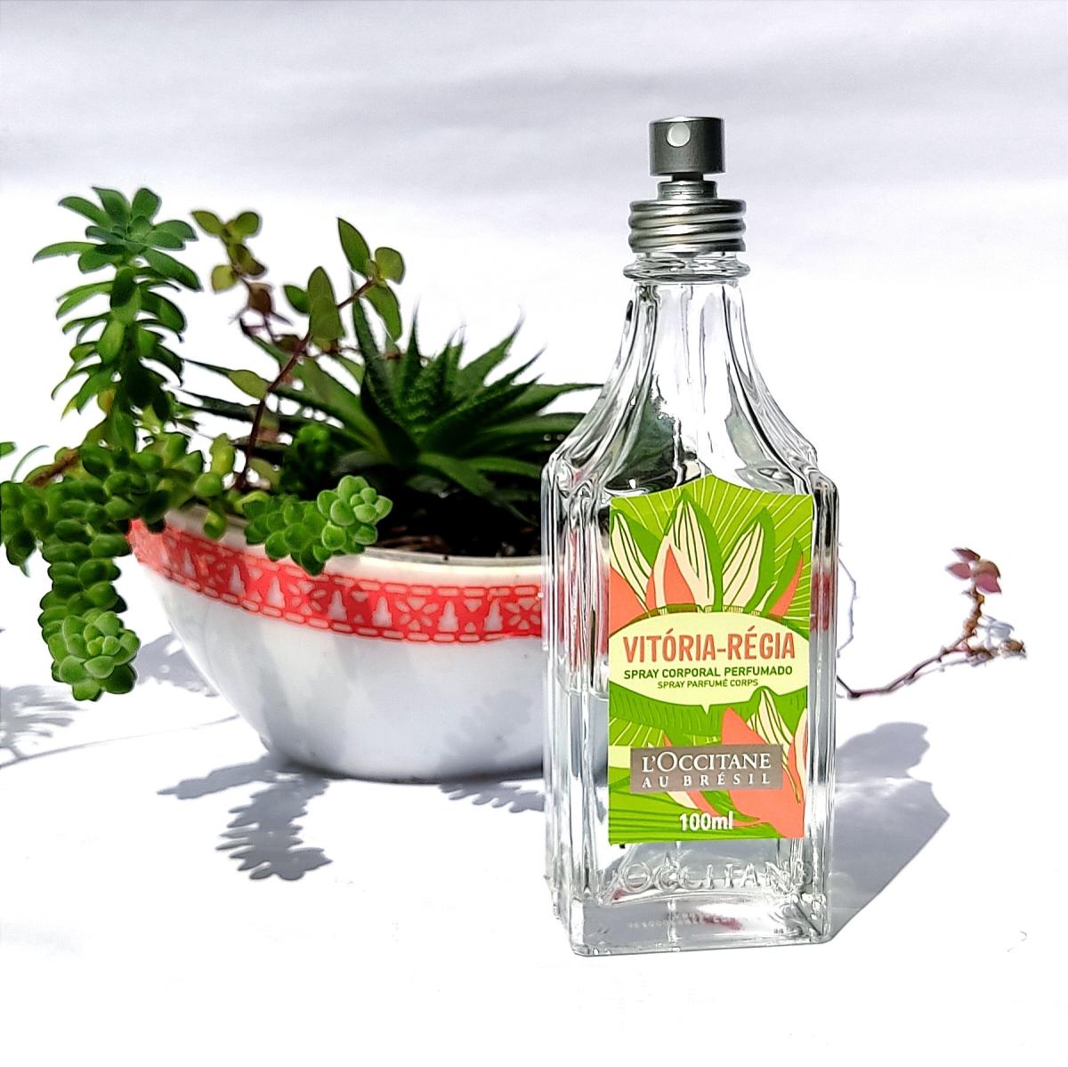 عطر ادکلن ویتوریا رژیا فلور دو دیا لوکسیتان او برزیل - Vitória Régia Flor do Dia L’Occitane Au Brésil - بررسی، قیمت و خرید