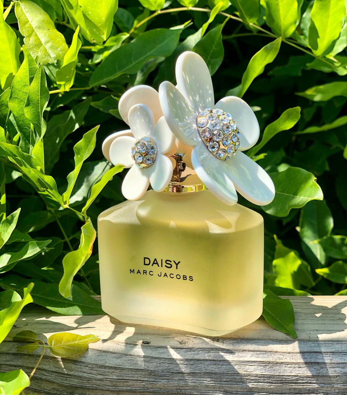 عطر ادکلن دیزی انیورسری ایدیشن مارک جیکوبز - Daisy Anniversary Edition Marc Jacobs - بررسی، قیمت و خرید