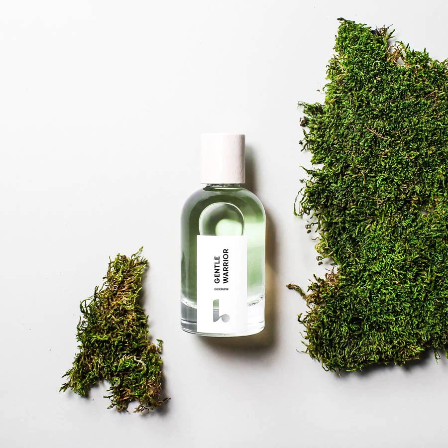 عطر ادکلن جنتل واریور لومودوس - Gentle Warrior Lumodos - بررسی، قیمت و خرید