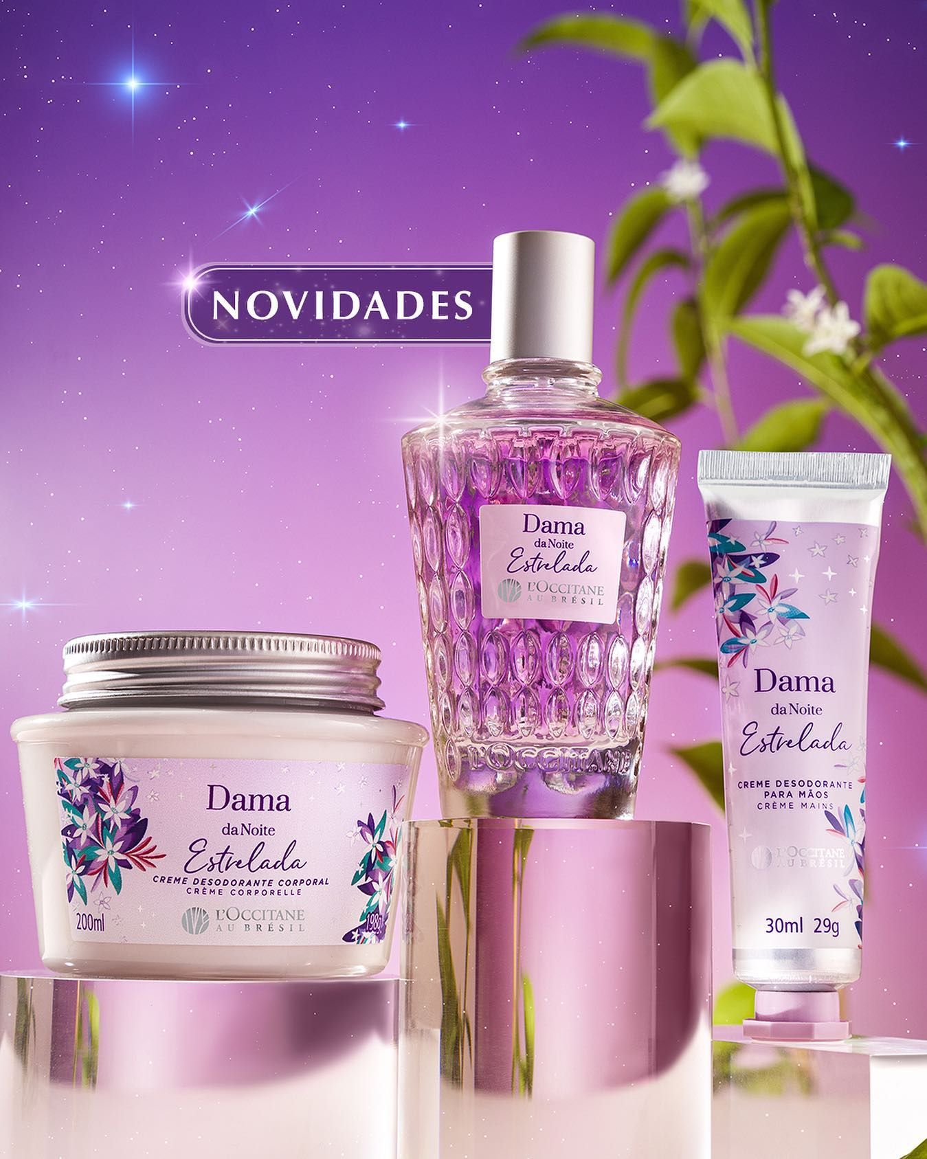 عطر ادکلن داما دا نویت استرلادا لوکسیتان او برزیل - Dama da Noite Estrelada L’Occitane Au Brésil - بررسی، قیمت و خرید
