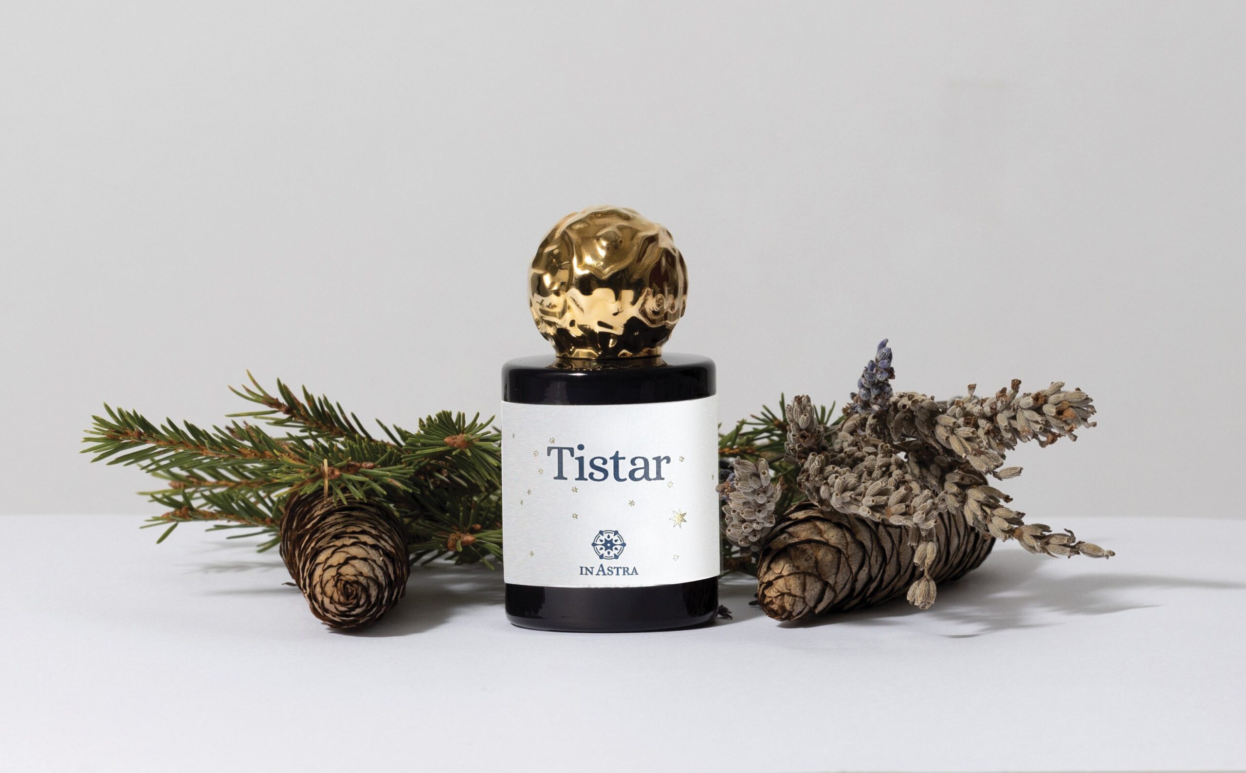 عطر ادکلن تی‌استار این آسترا - Tistar In Astra - بررسی، قیمت و خرید