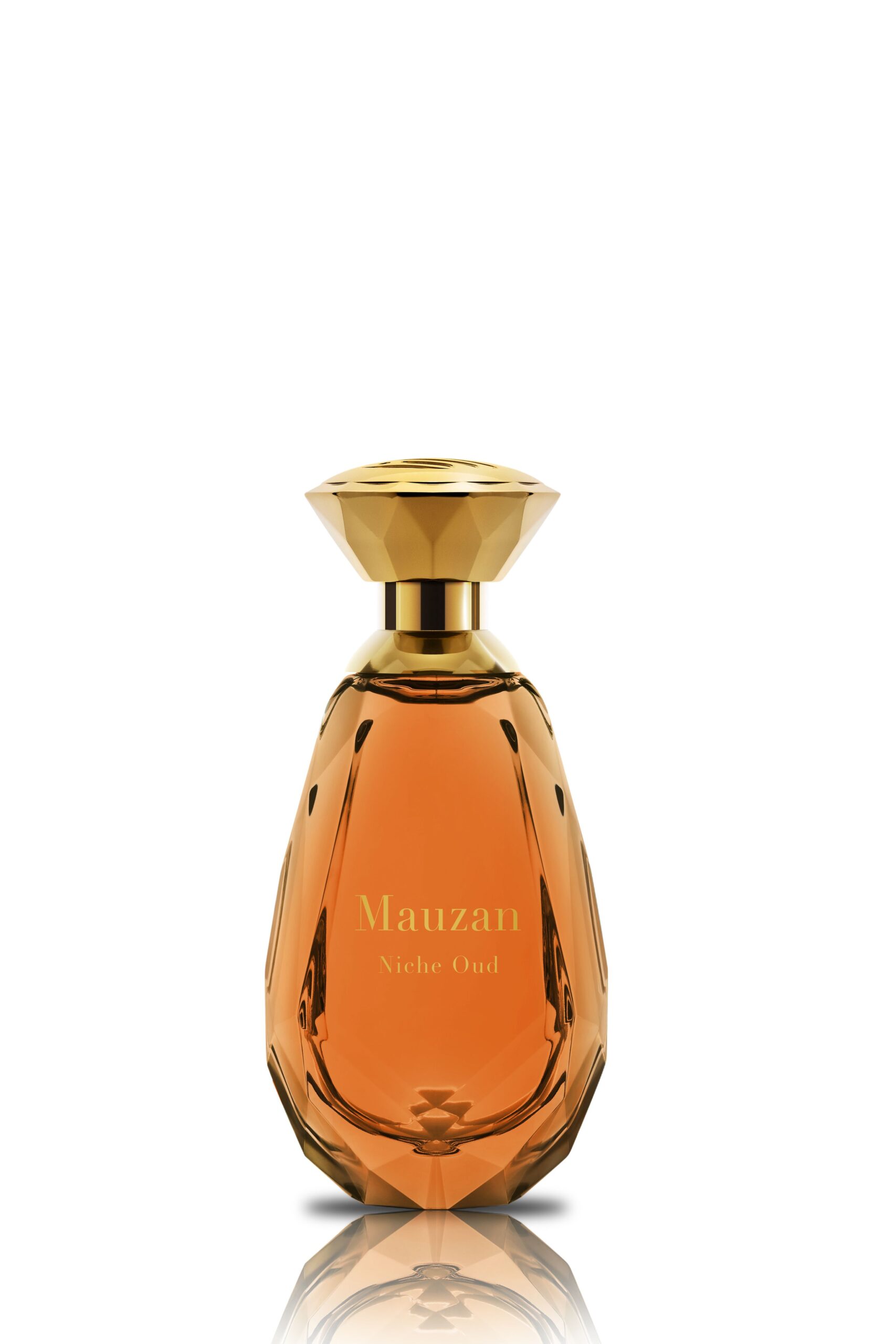 عطر ادکلن نیش عود ماوزان - Niche Oud Mauzan - بررسی، قیمت و خرید