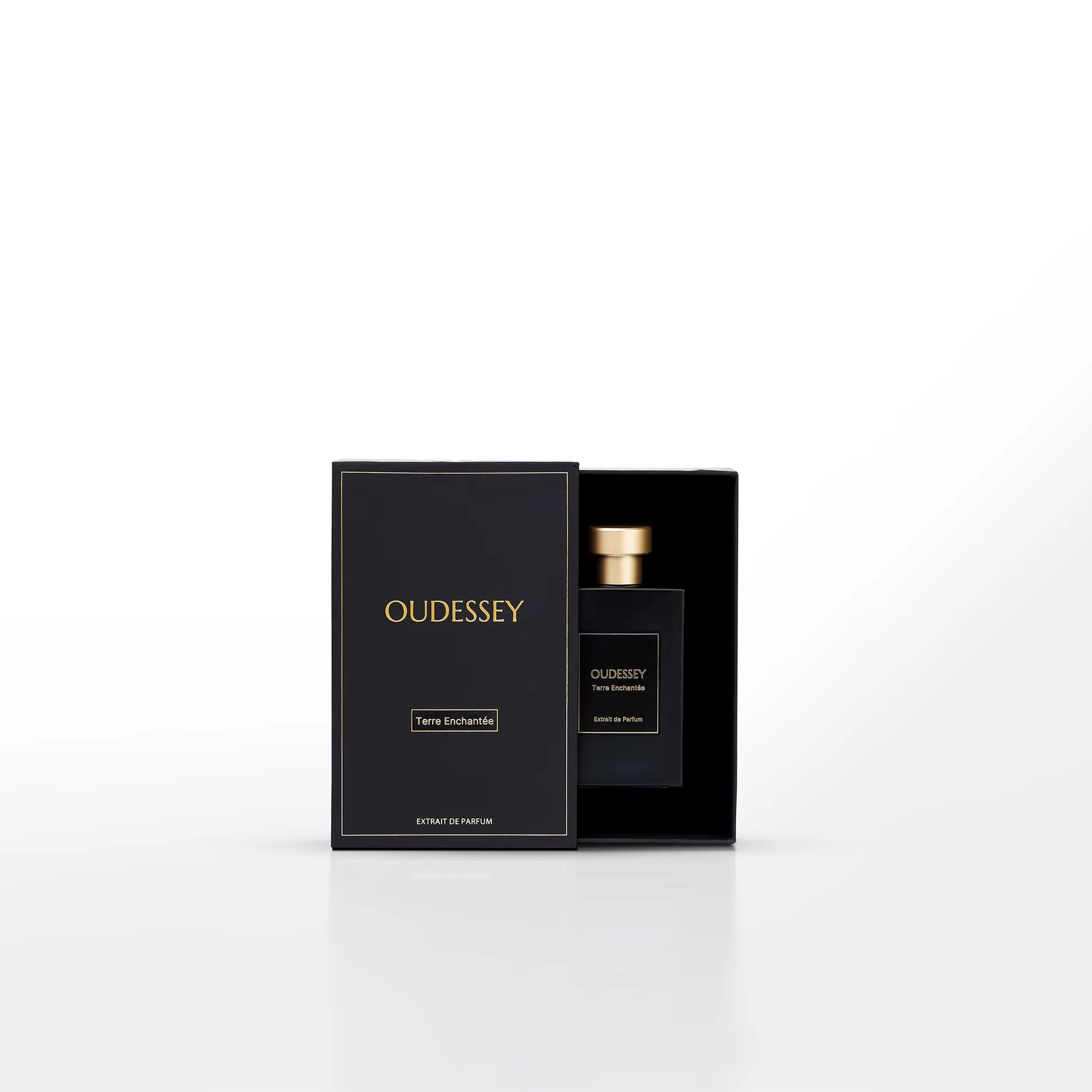 عطر ادکلن ته‌ران‌شانته اودسی - Terre Enchantée OUDESSEY - بررسی، قیمت و خرید