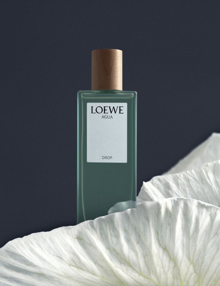 عطر ادکلن آگوا دراپ لووه - Agua Drop Loewe - بررسی، قیمت و خرید