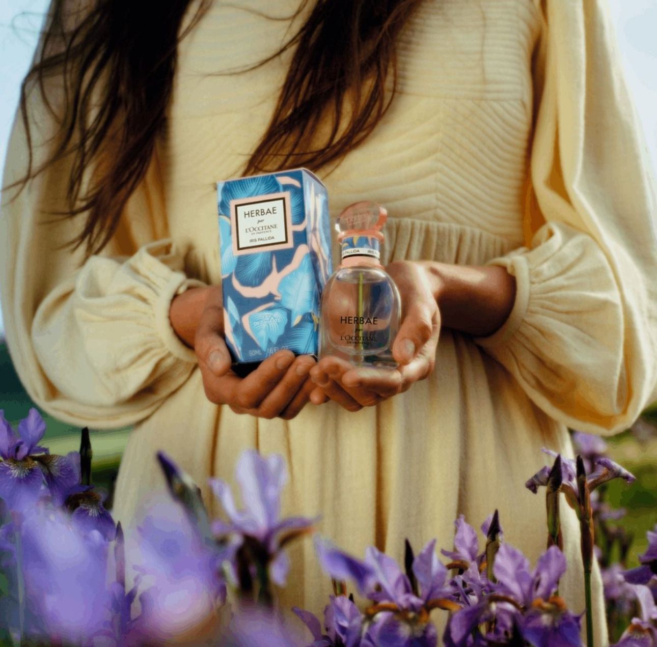 عطر ادکلن هربا آیریس پالیدا لوکسیتان ان پروانس - Herbae Iris Pallida L'Occitane en Provence - بررسی، قیمت و خرید