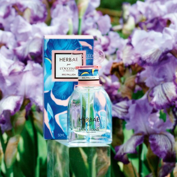 عطر ادکلن هربا آیریس پالیدا لوکسیتان ان پروانس - Herbae Iris Pallida L'Occitane en Provence - بررسی، قیمت و خرید