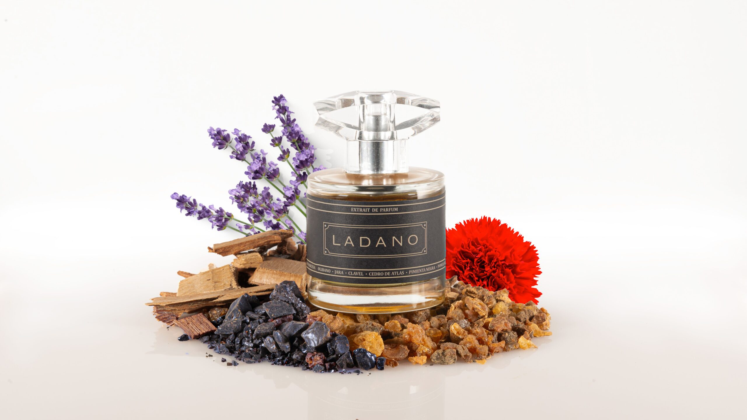 عطر ادکلن لادانو مایس پائو - Ladano Maese Pau - بررسی، قیمت و خرید