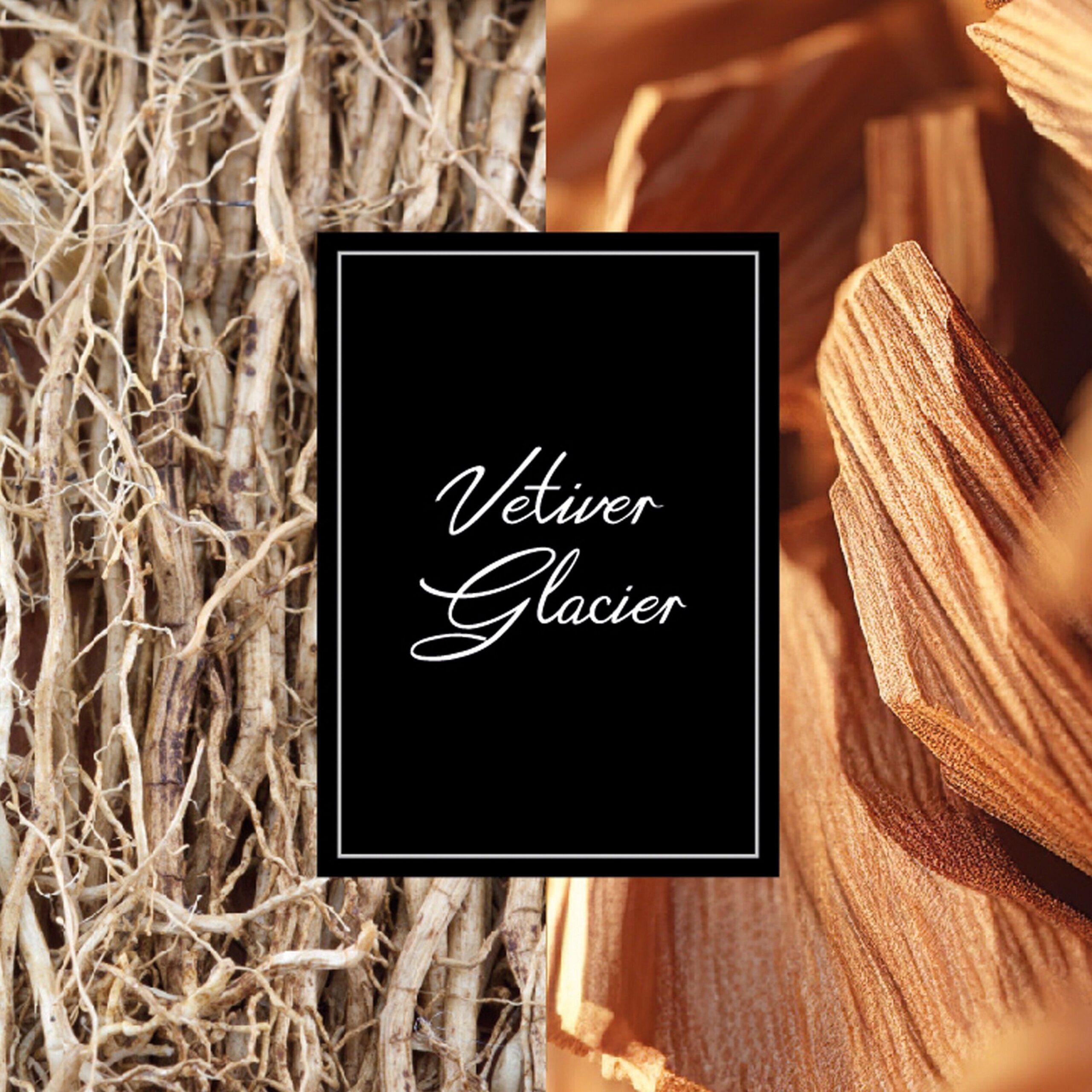 عطر ادکلن وتیور گلیشر مون بلان - Vetiver Glacier Montblanc - بررسی، قیمت و خرید