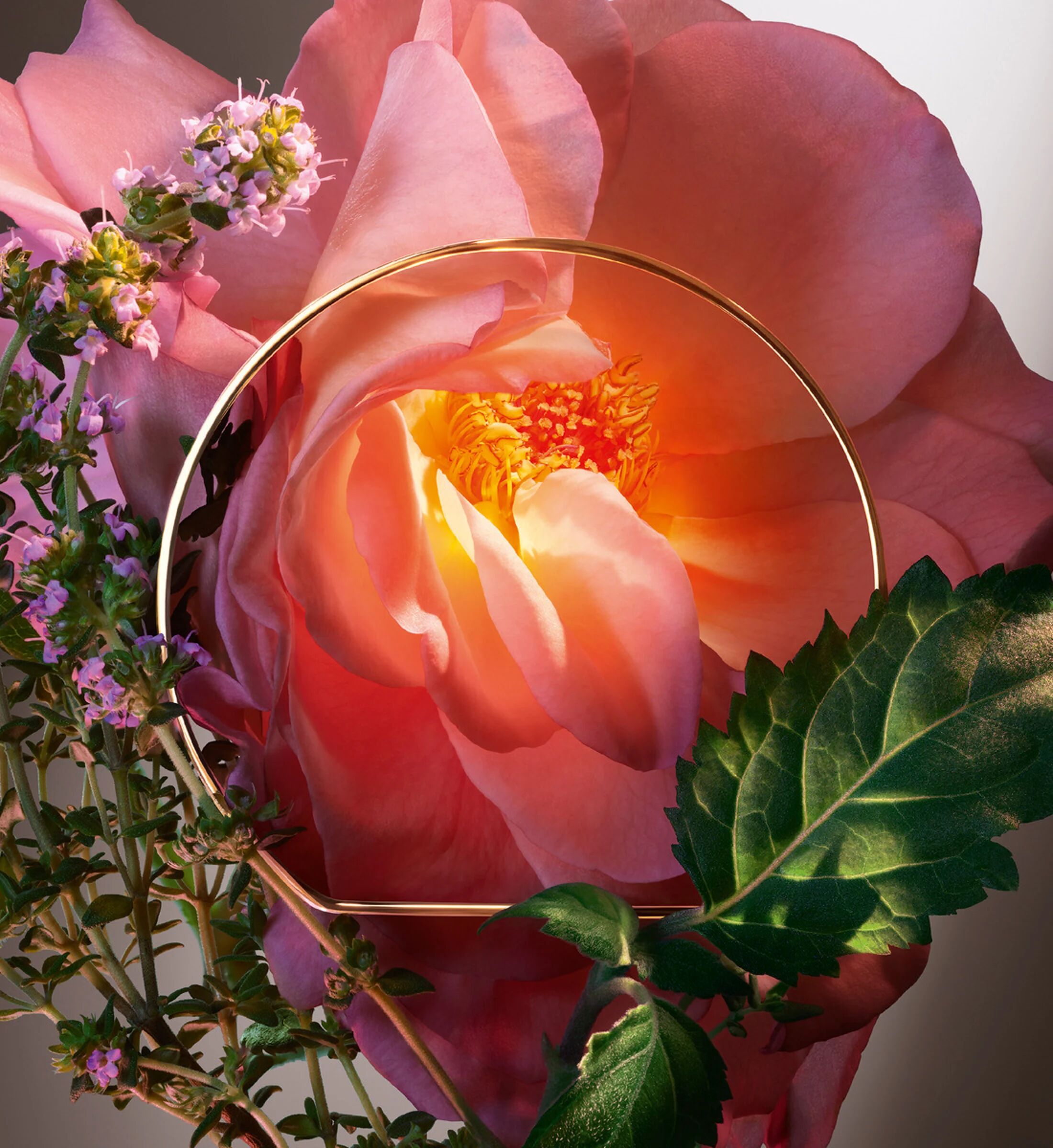 عطر ادکلن ابسولو هات از روز [lɒŋkom] - Absolue Hot As Rose Lancôme - بررسی، قیمت و خرید