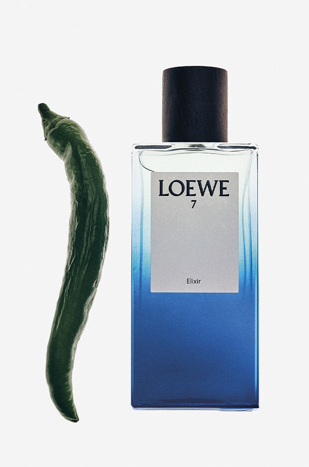 عطر ادکلن لووه سون الیکسیر لووه - Loewe 7 Elixir Loewe - بررسی، قیمت و خرید