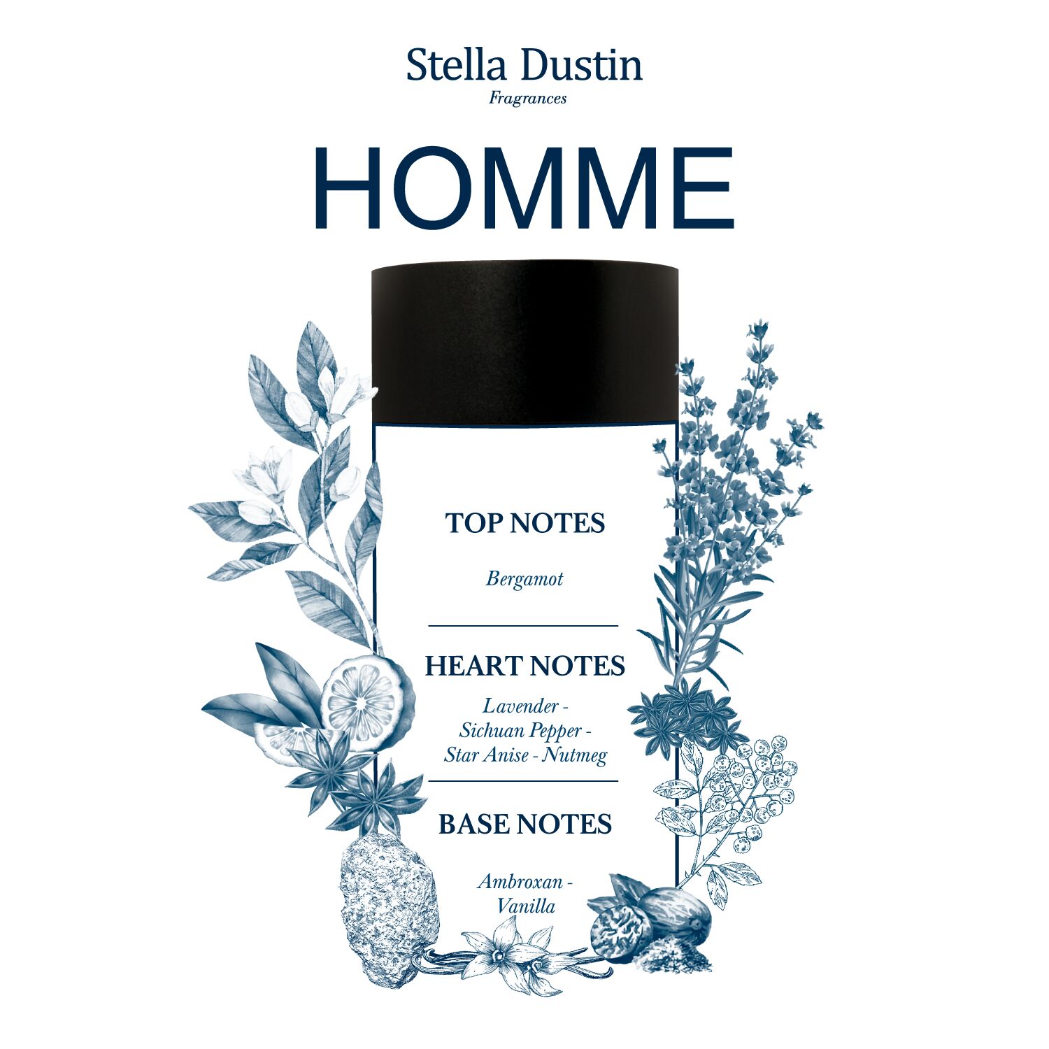 عطر ادکلن هوم استلا داستین استلا داستین - Homme Stella Dustin Stella Dustin - بررسی، قیمت و خرید