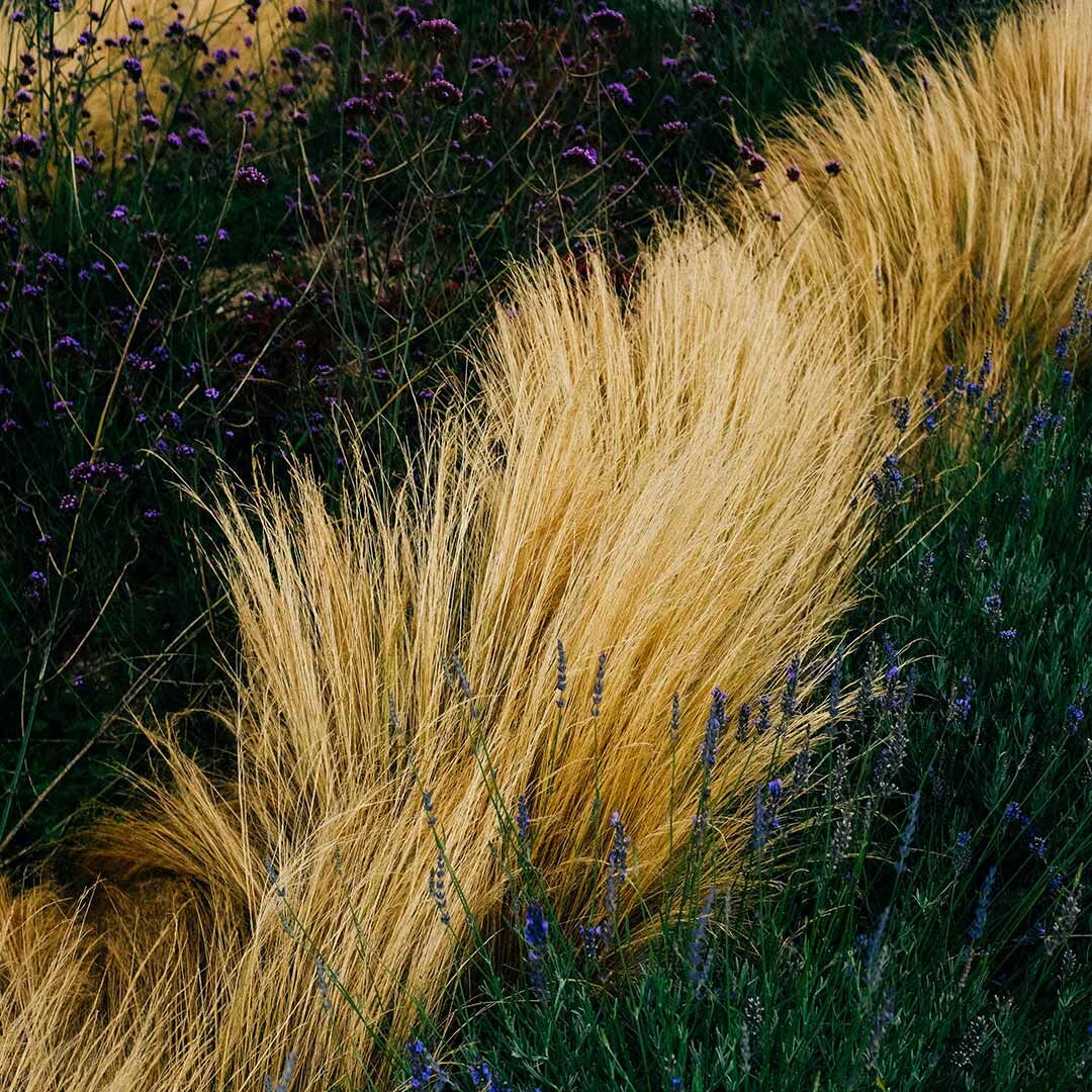 عطر ادکلن ماینر میلهاریس - Mìneir Miller Harris - بررسی، قیمت و خرید