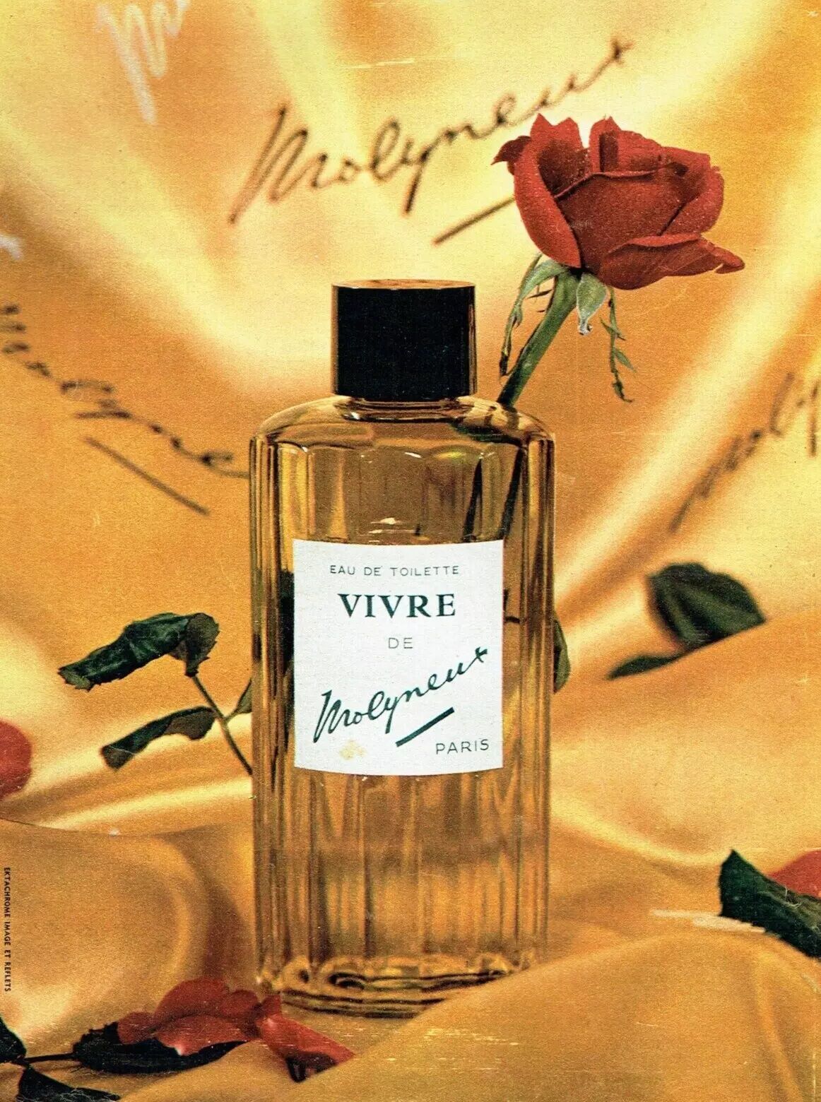 عطر ادکلن ویوغه مالینو - Vivre (1931) Molyneux - بررسی، قیمت و خرید