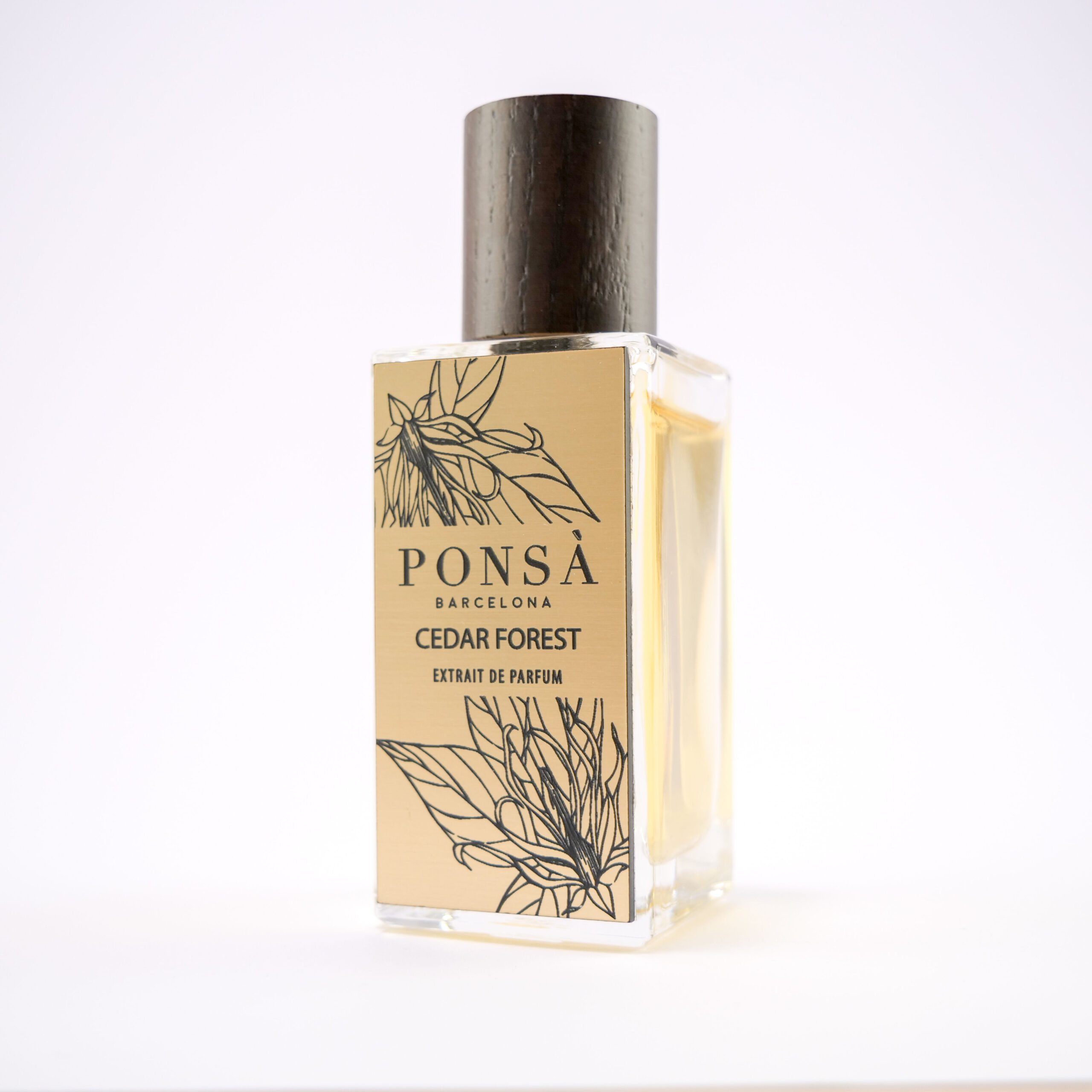 عطر ادکلن سیدار فورست پونسا - Cedar Forest Ponsa - بررسی، قیمت و خرید